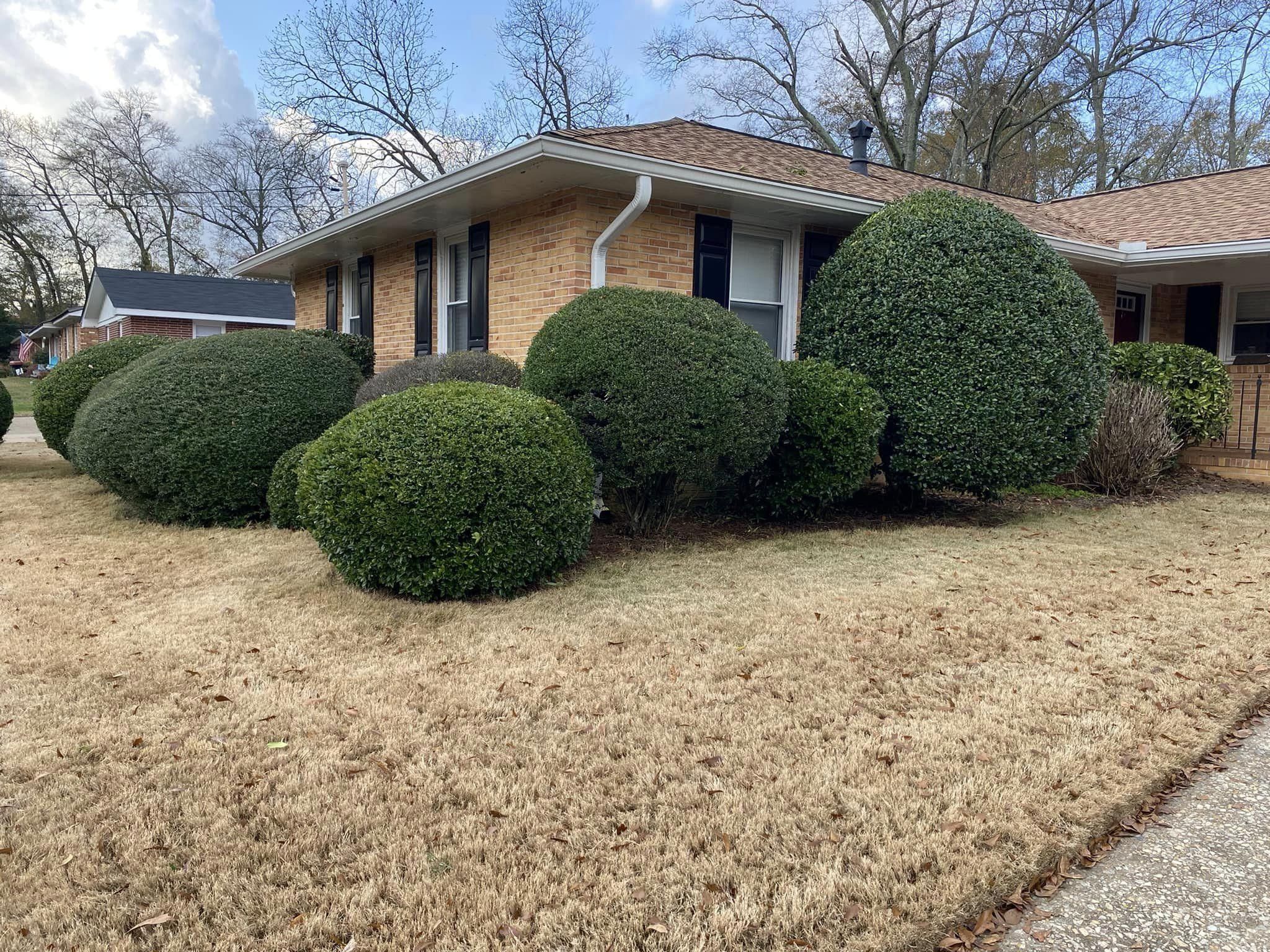 All Photos for Deeply Rooted Lawn Maintenance in Winder, GA