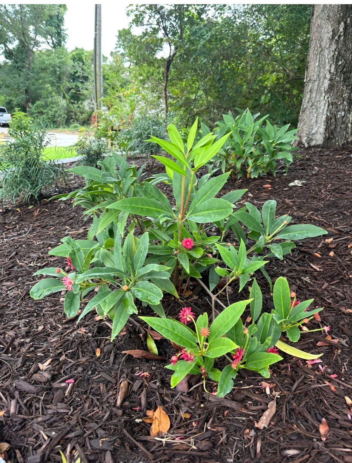  for JND Transformation Landscapes & Hardscapes LLC in Cedar Point, NC