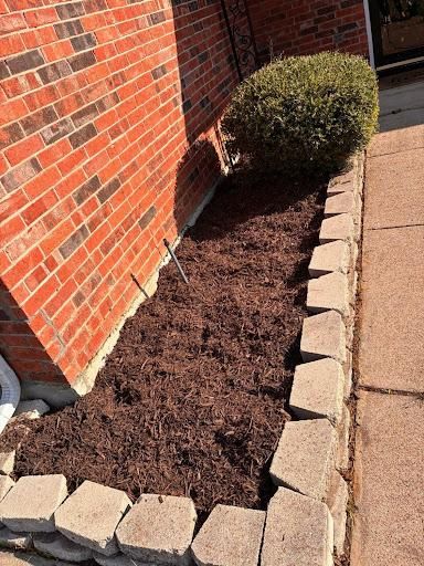 All Photos for Blu-J Tree Care in Arlington, TX