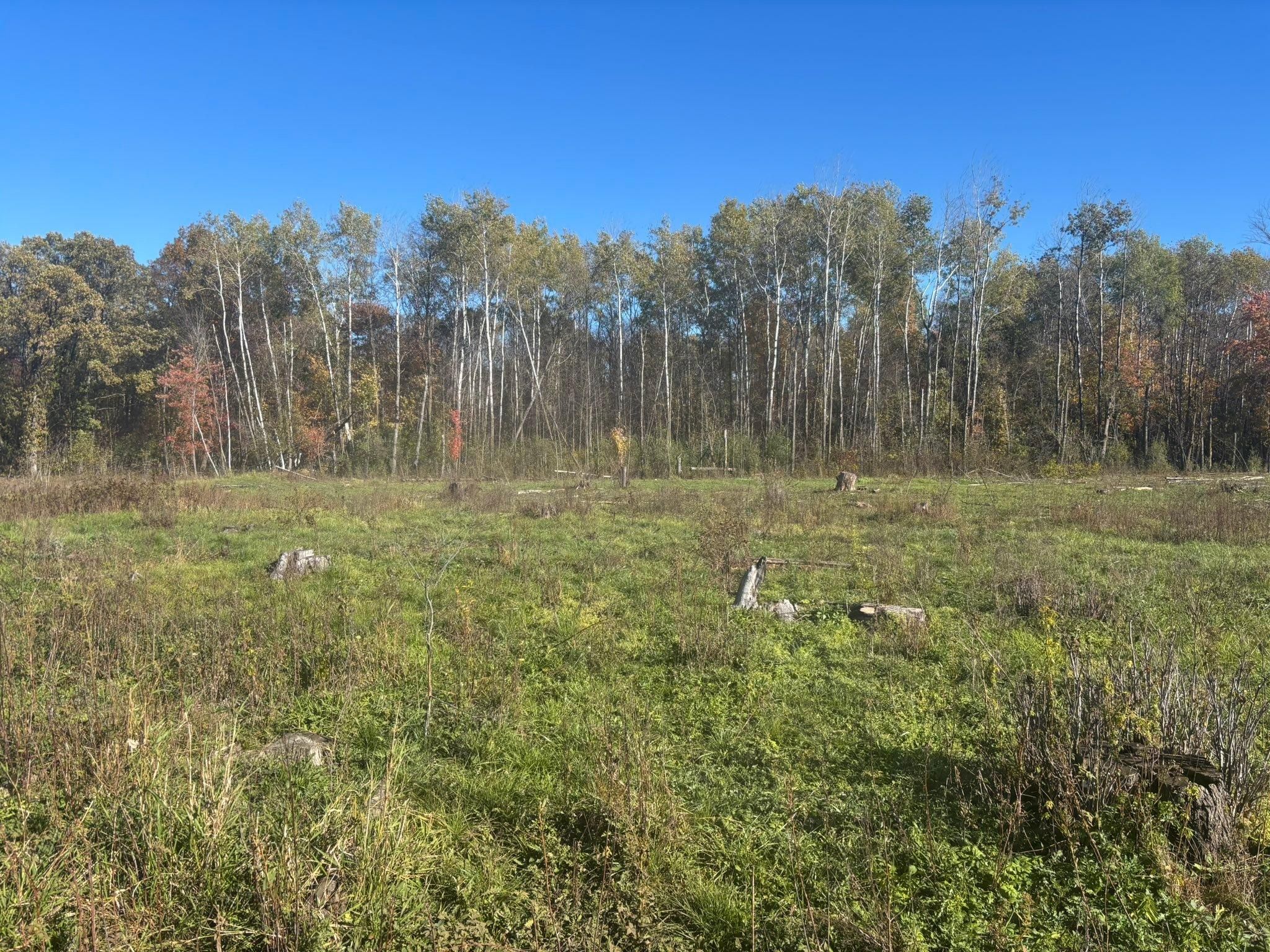  for Premier Services in New London, MN