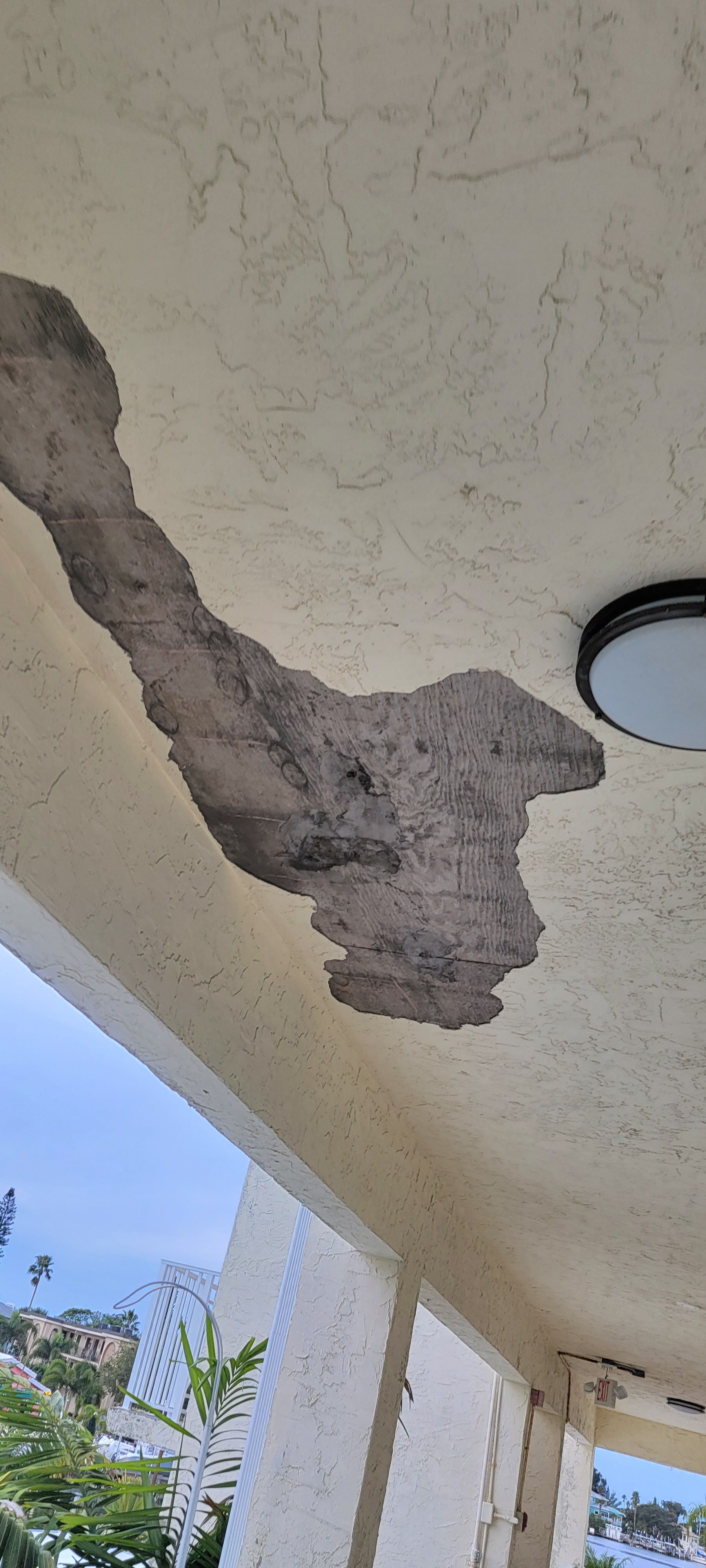  for Millenium Construction & Property Management in Tampa, FL