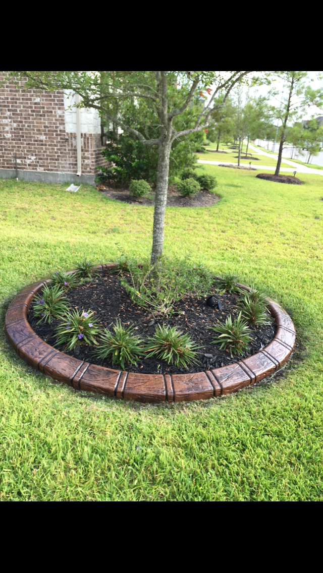  for Texas Curb N Borders in Houston, TX