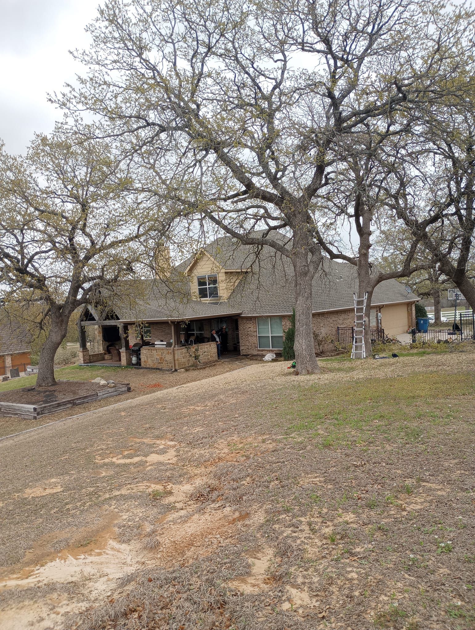 Tree Removal for Marks Tree Service in Fort Worth, TX