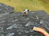 All Photos for Flores Roofing & Construction LLC  in Longview, TX