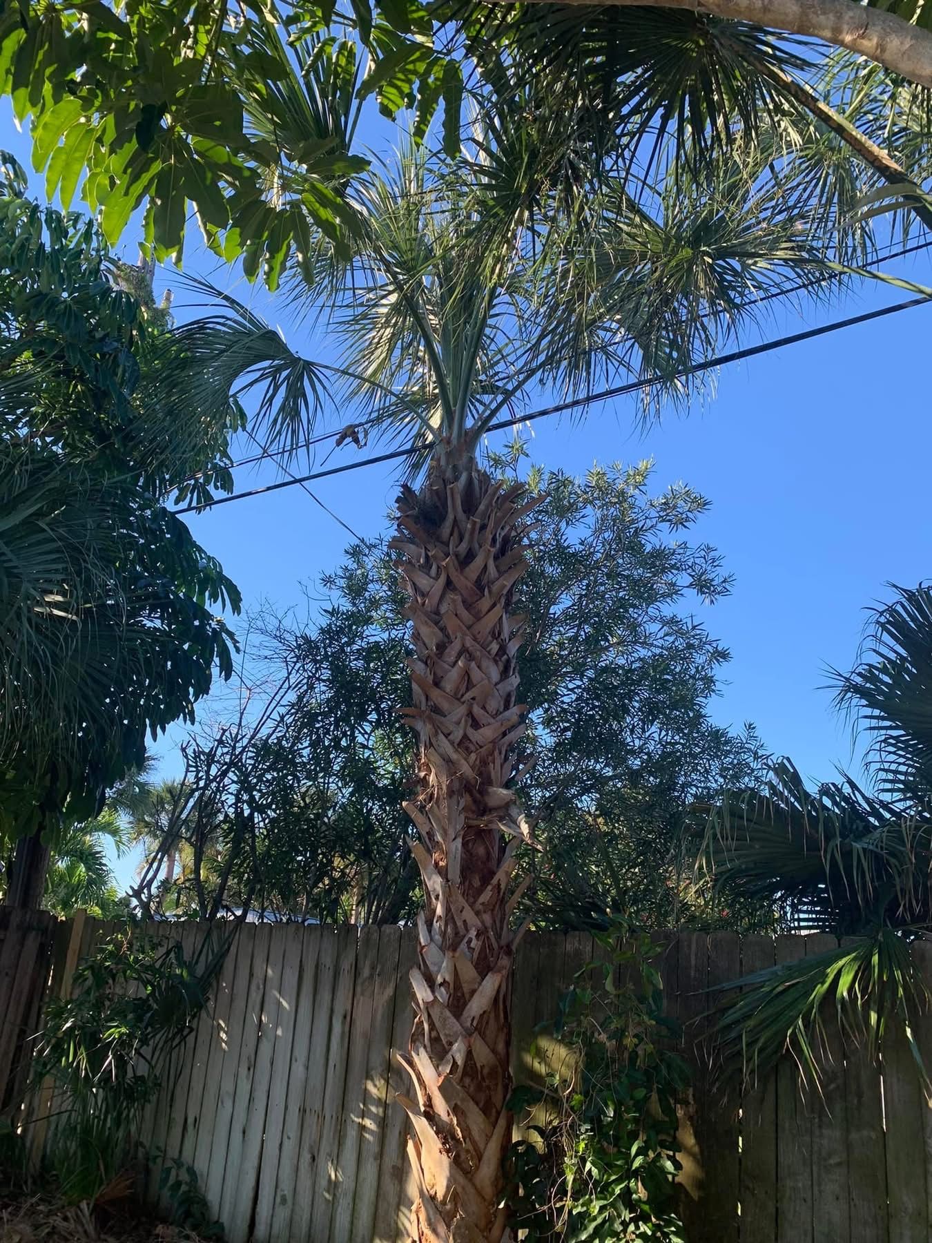  for Space Coast Property Maintenance and Management LLC in Melbourne, FL