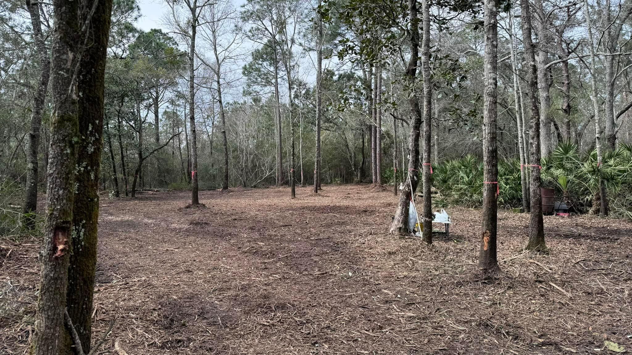 All Photos for White’s Land Maintenance in Milton,, FL