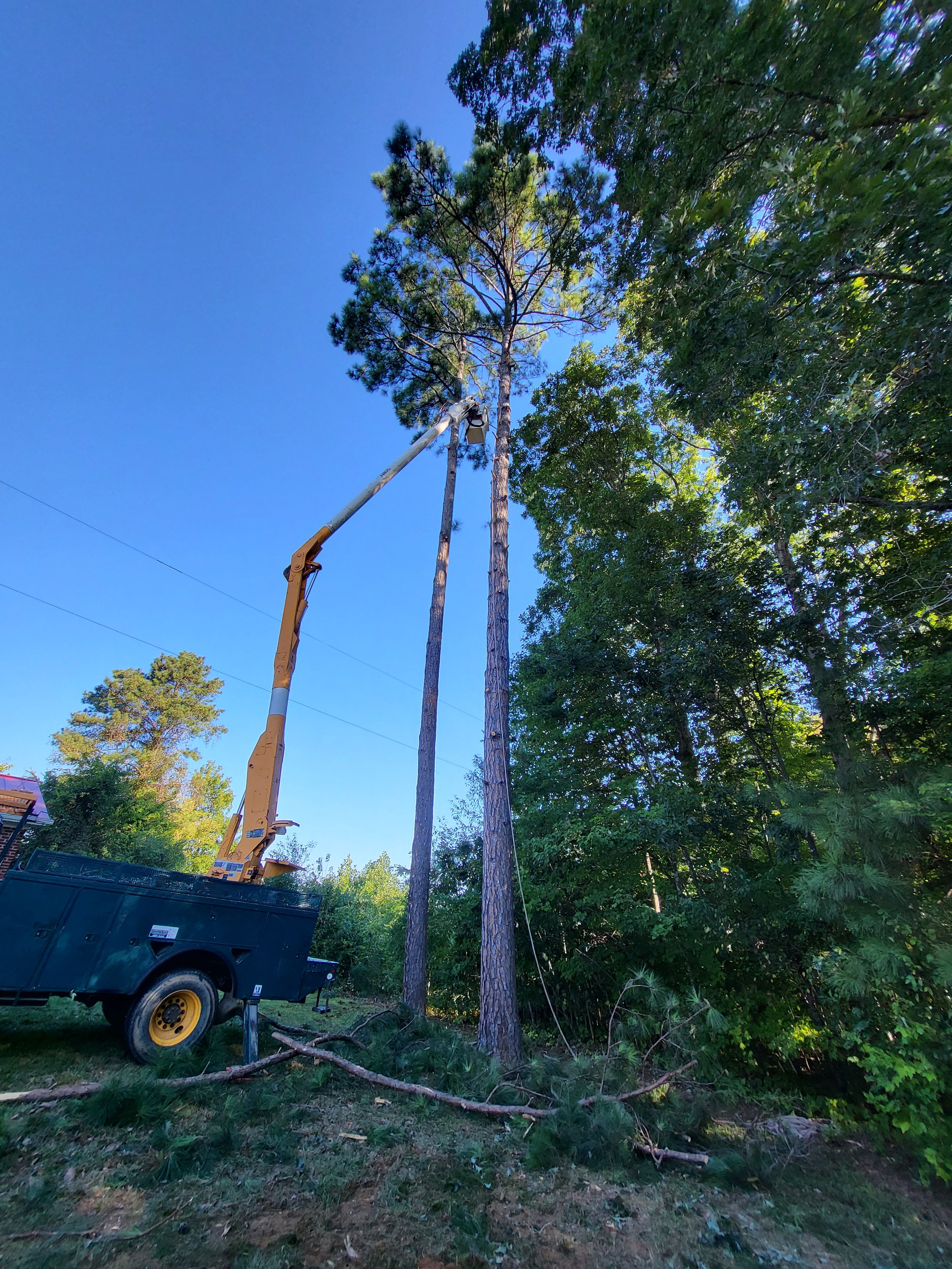 All Photos for Smitty's Tree Service in Danville, VA