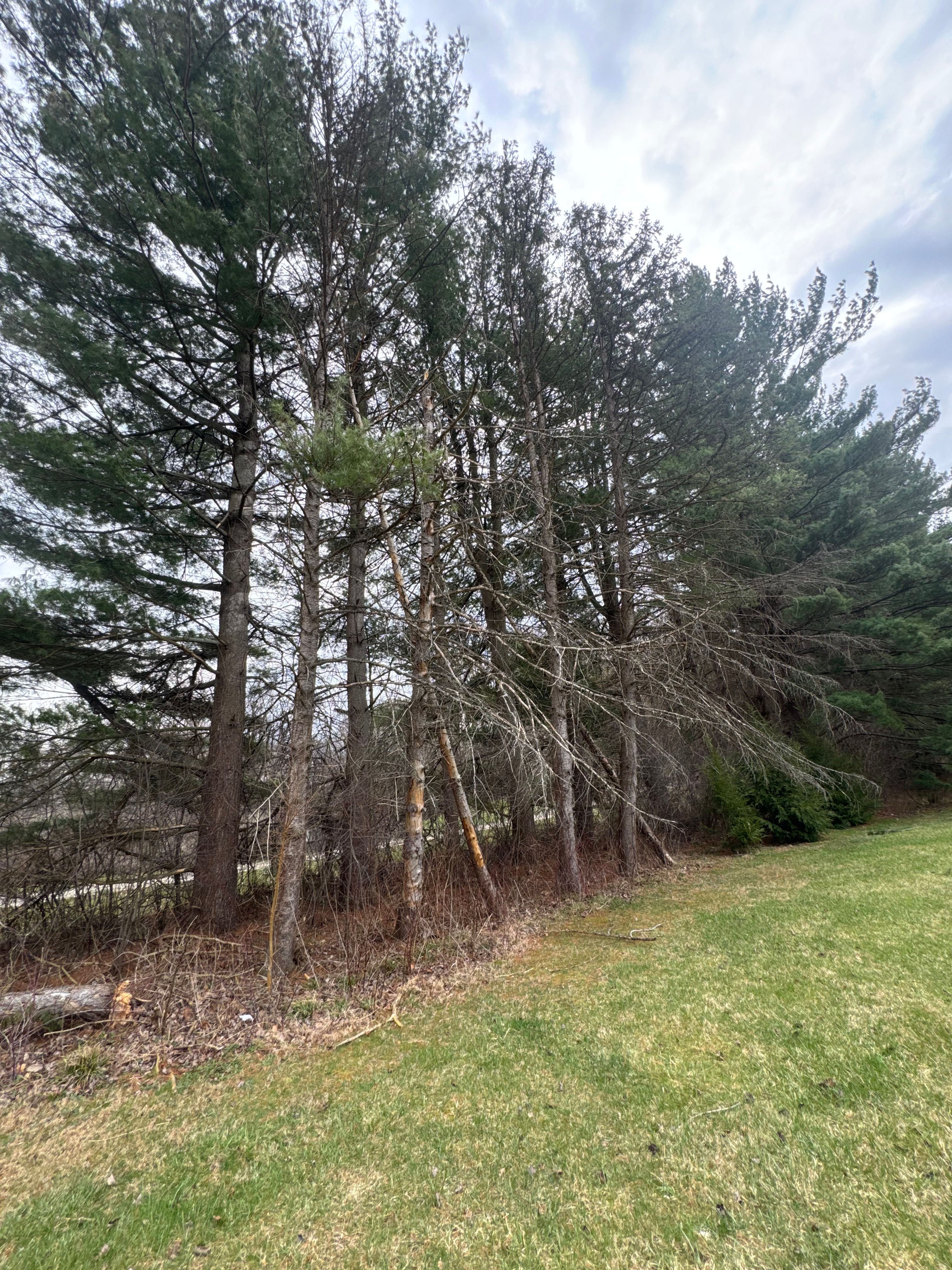  for McKenzie's Landscaping LLC in Shelby, OH