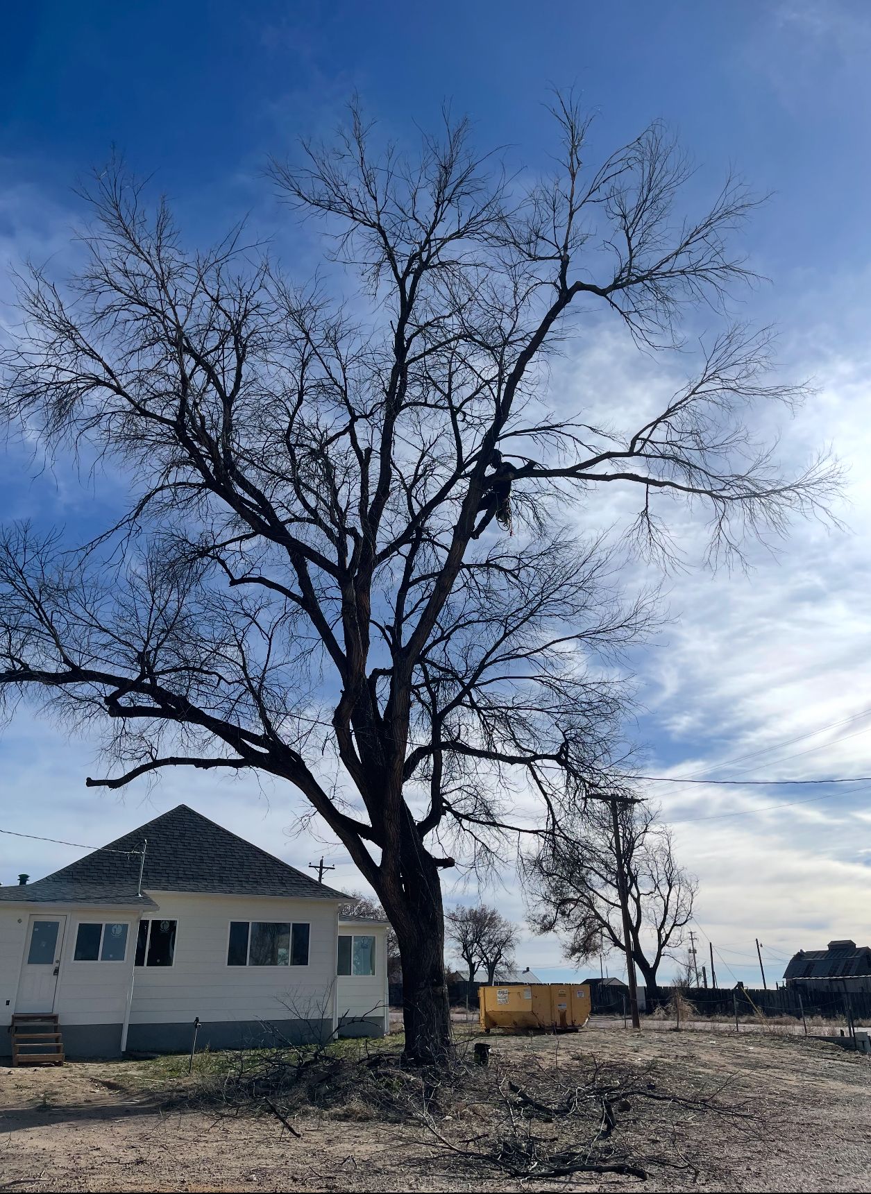 All Photos for Graham’s Tree Services in Pierce, CO