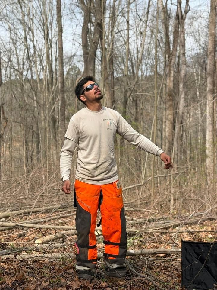  for Ramirez Tree Care in Elkin, NC