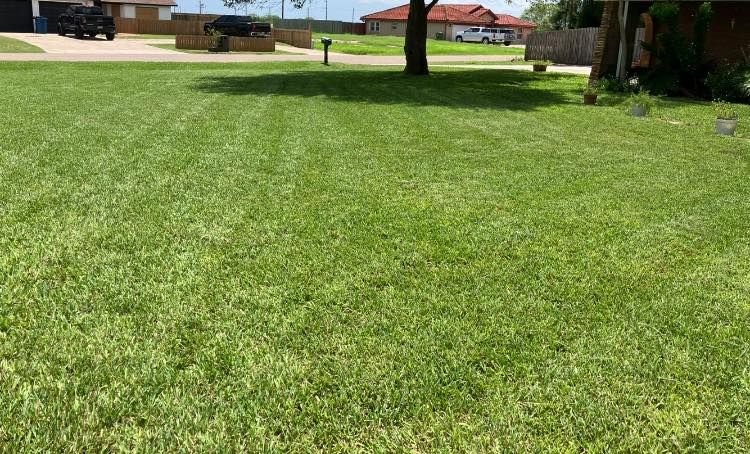  for John’s Lawns in South Padre Island, TX