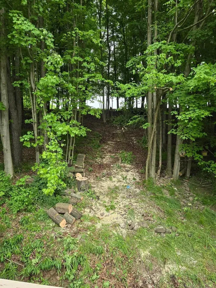 All Photos for Licensed to Cut Tree Service in Athens, PA