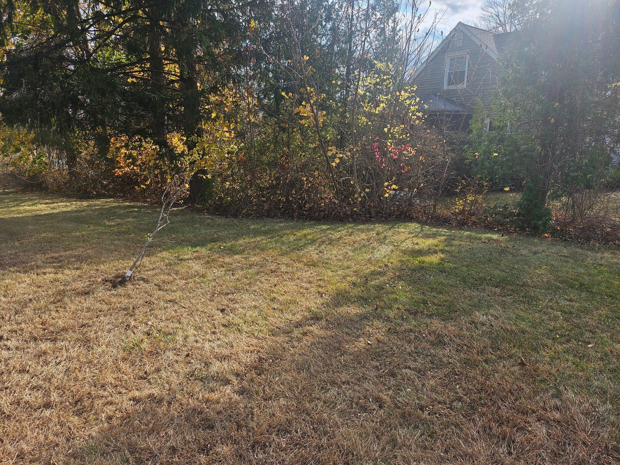 Spring & Fall Cleanups for Landscape Innovations LLC in Torrington, CT