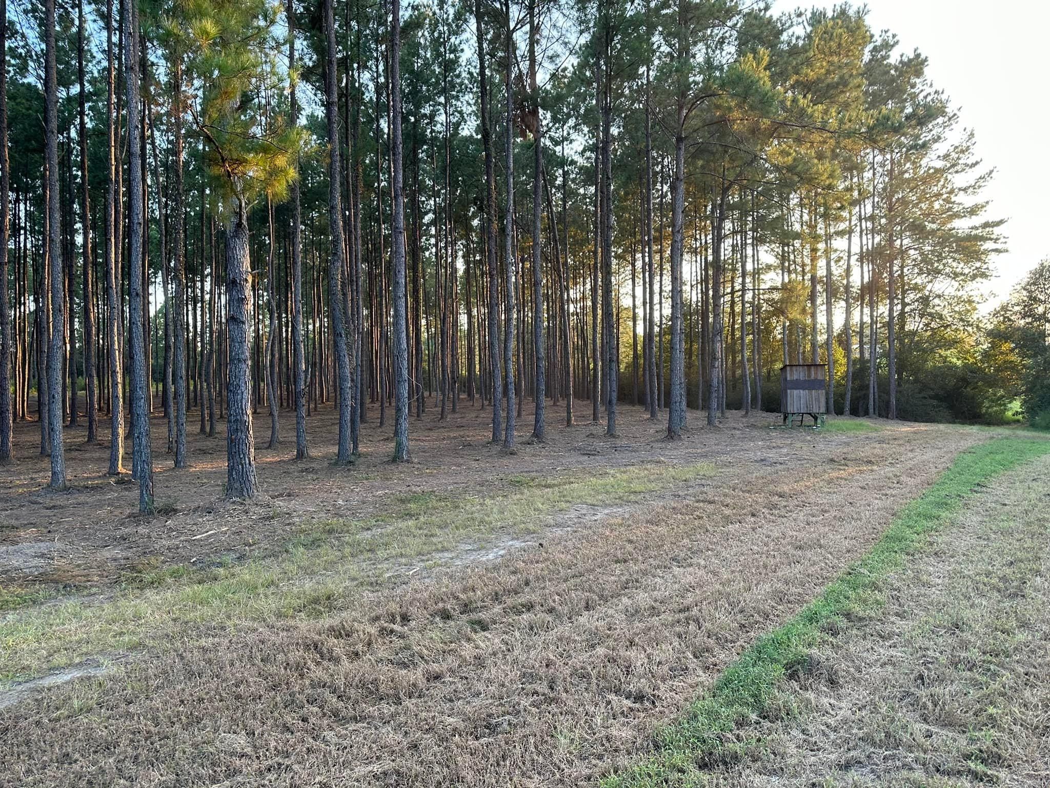  for White’s Land Maintenance in Milton,, FL