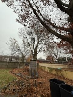 All Photos for Dittmer Tree Service in Davenport, IA