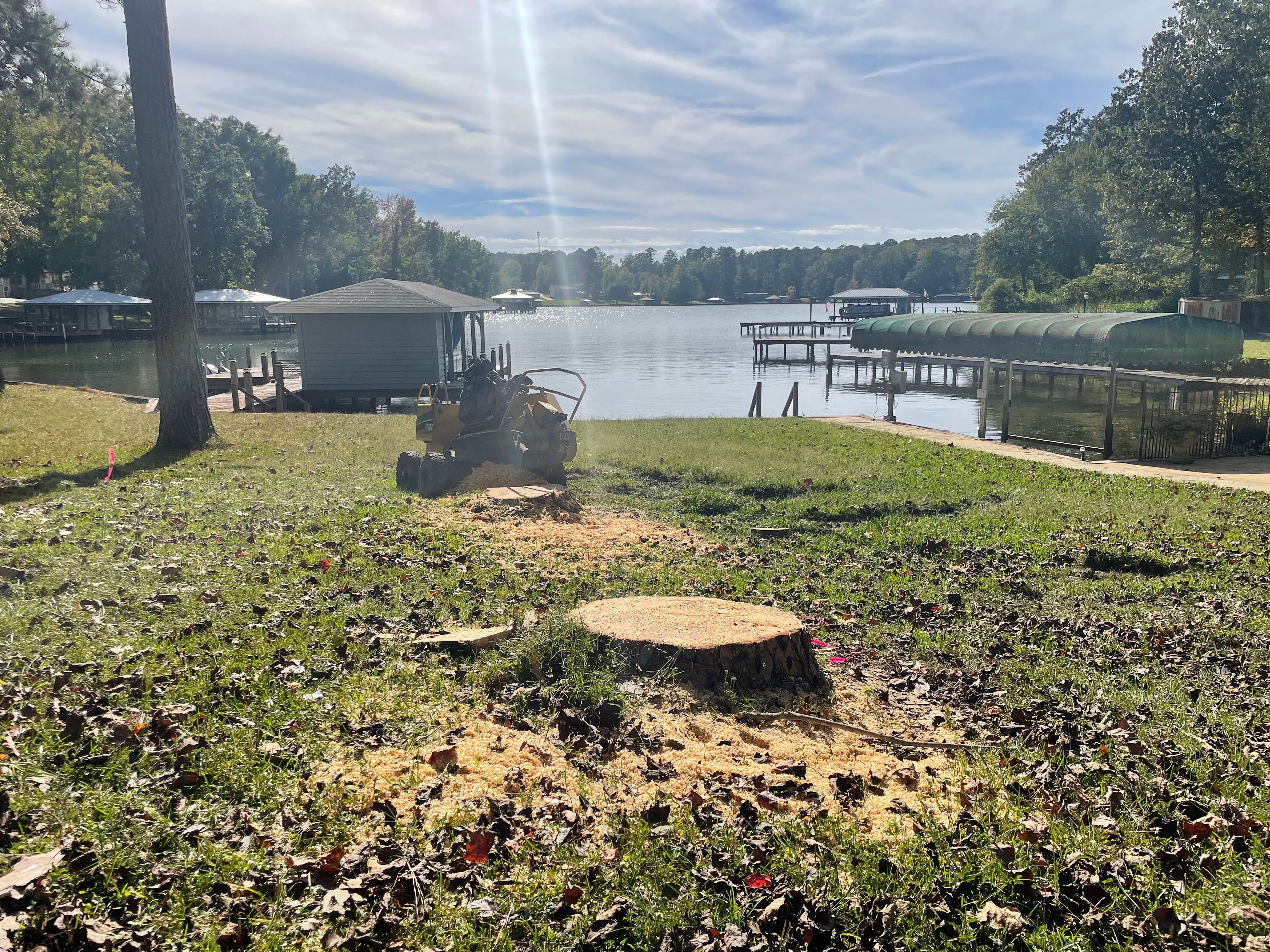 Stump Grinding for MJB’s Stump Grinding LLC in Tennille, GA