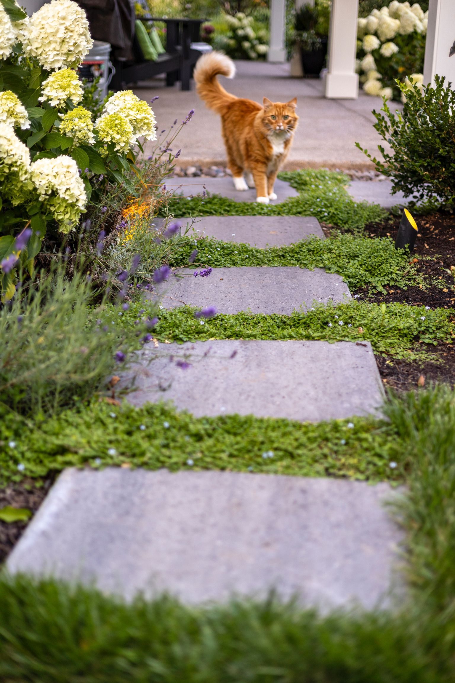  for Courtney Lewis Landscape Design in Portland, OR