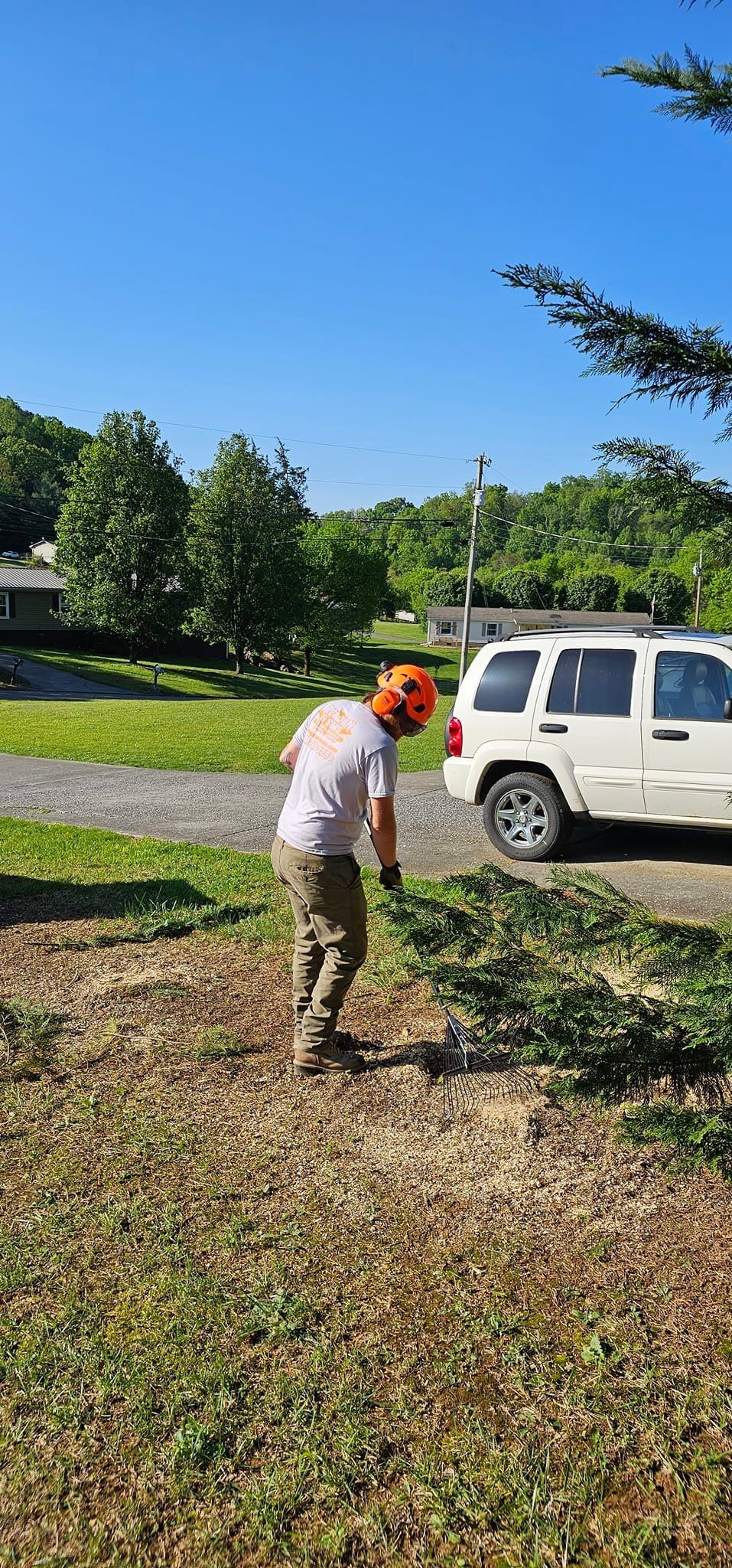  for Reagan & Sons Tree Service in Dandridge, TN