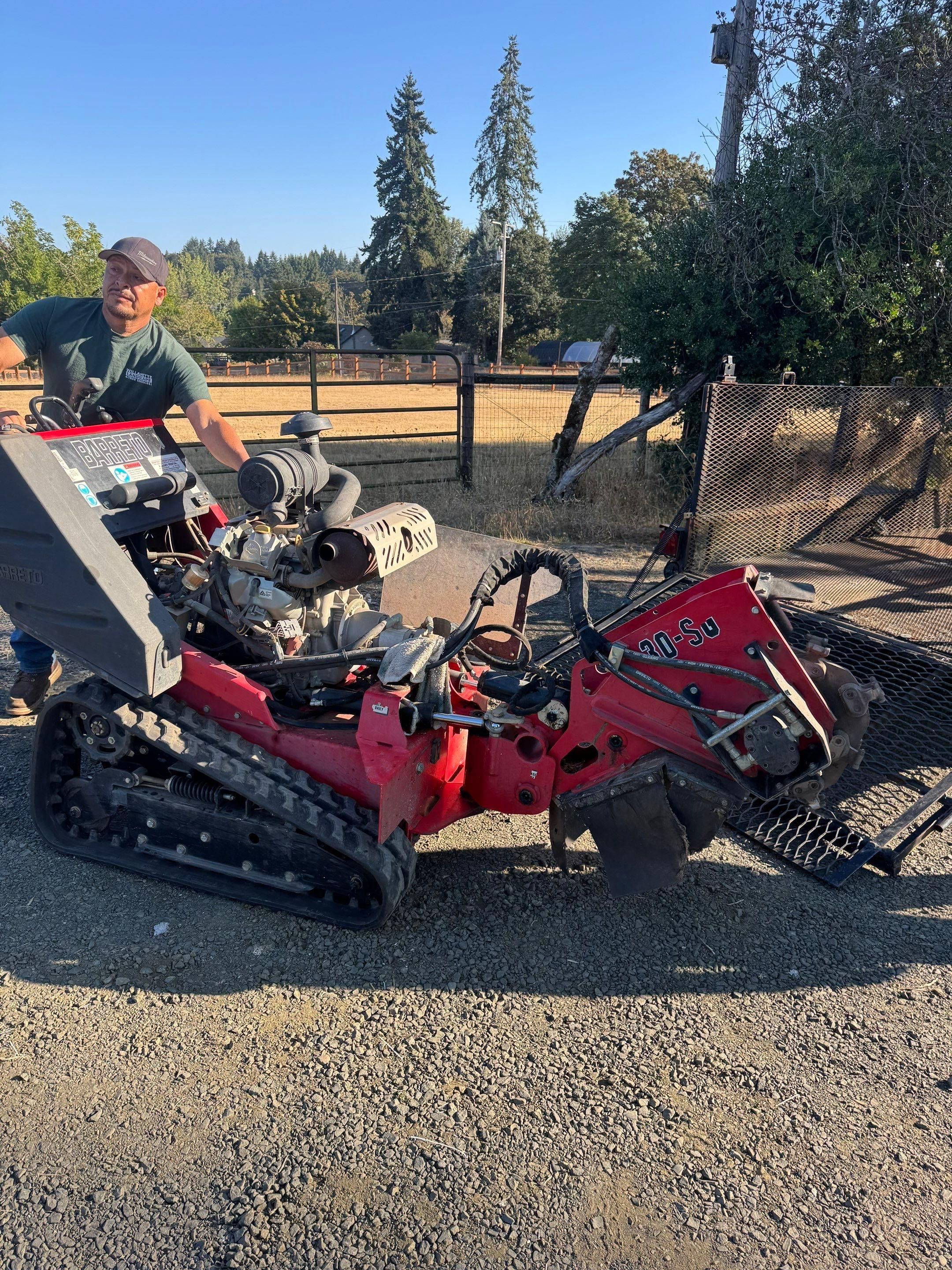  for Willamette Landscaping and Tree Services in Albany, OR