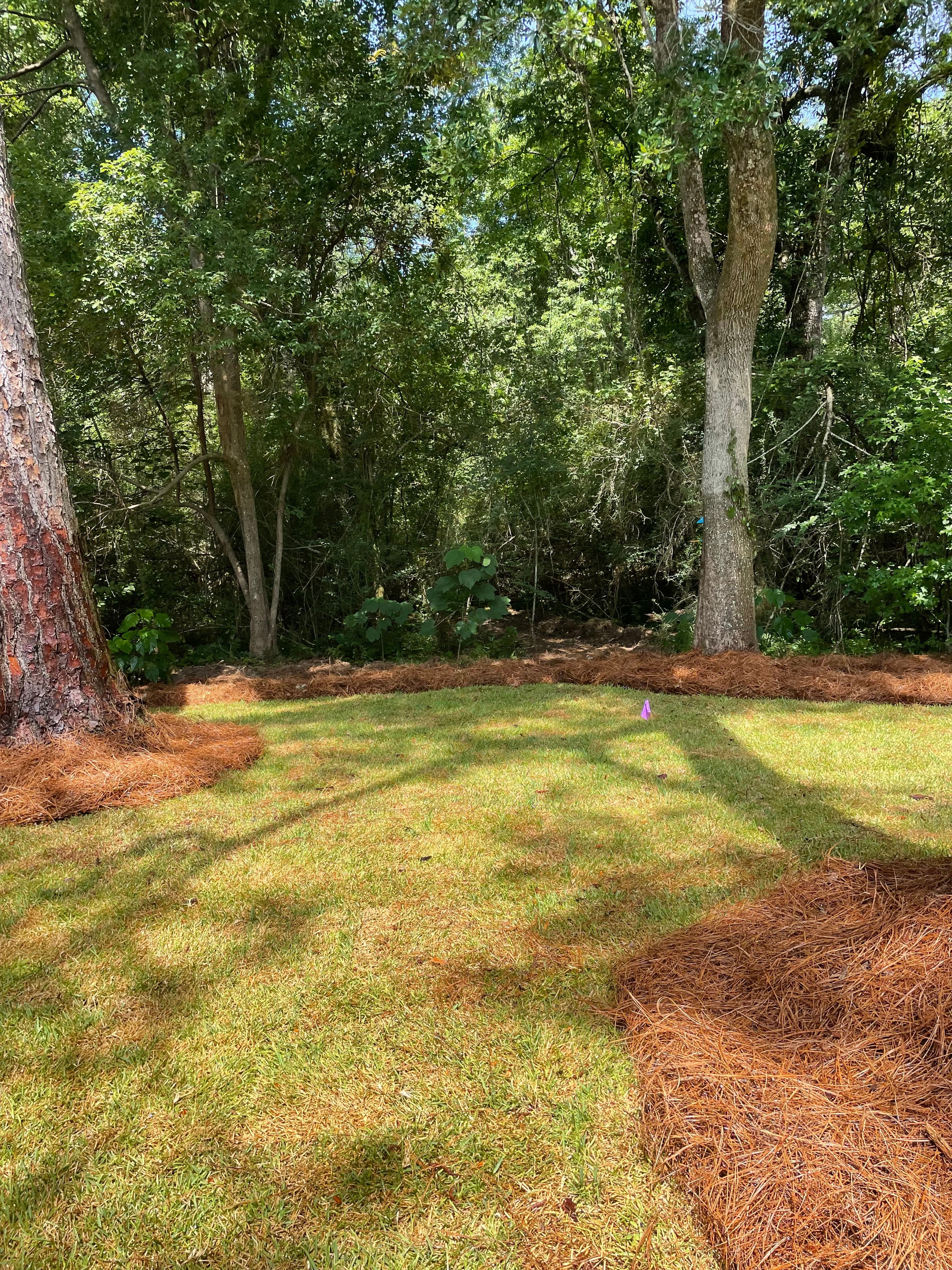  for Enhanced Landscape in Daphne, AL