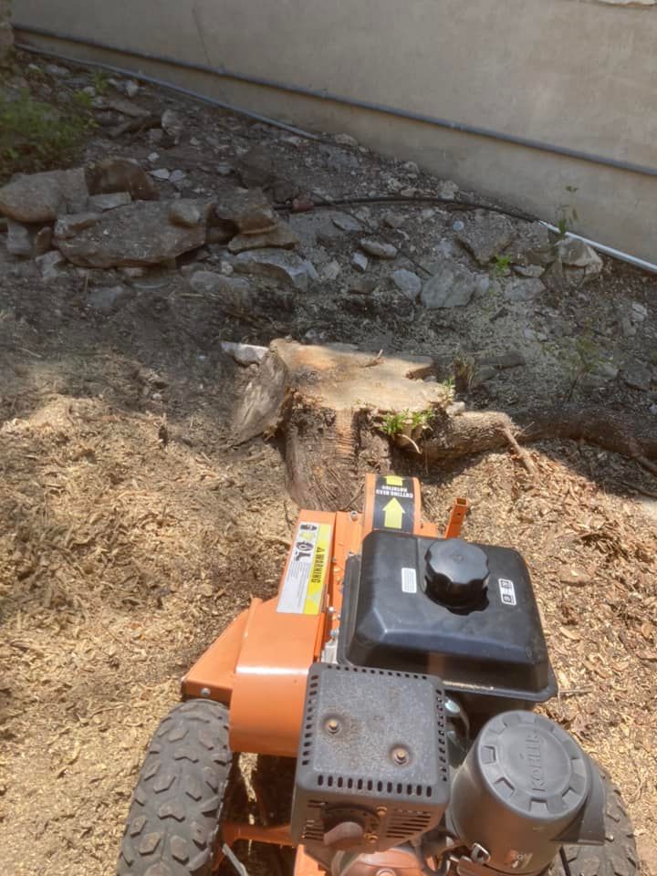  for Camerons Stump Grinding & Tree Services in Austin, TX