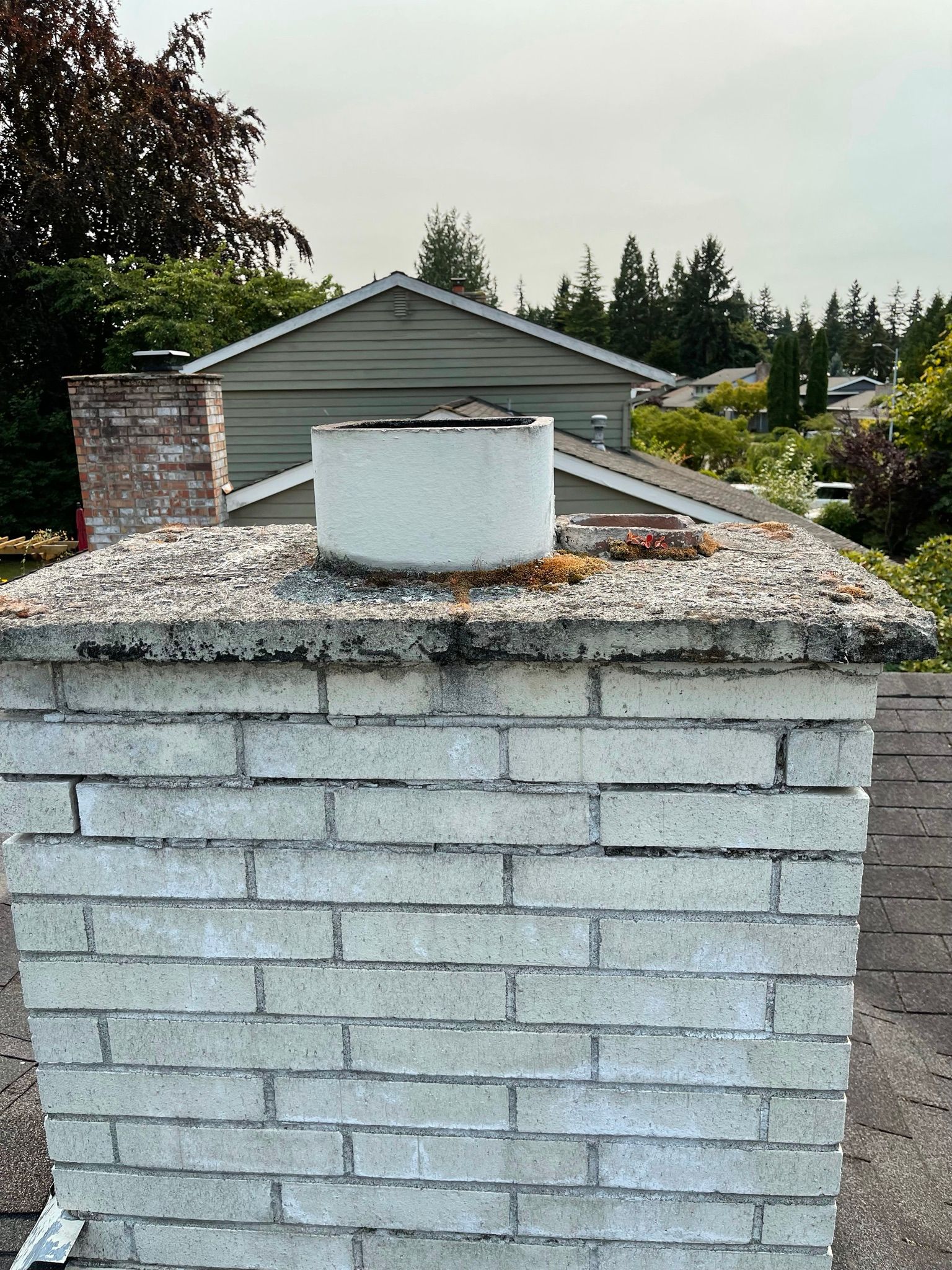  for Tony's Remodeling & Painting in Renton, WA