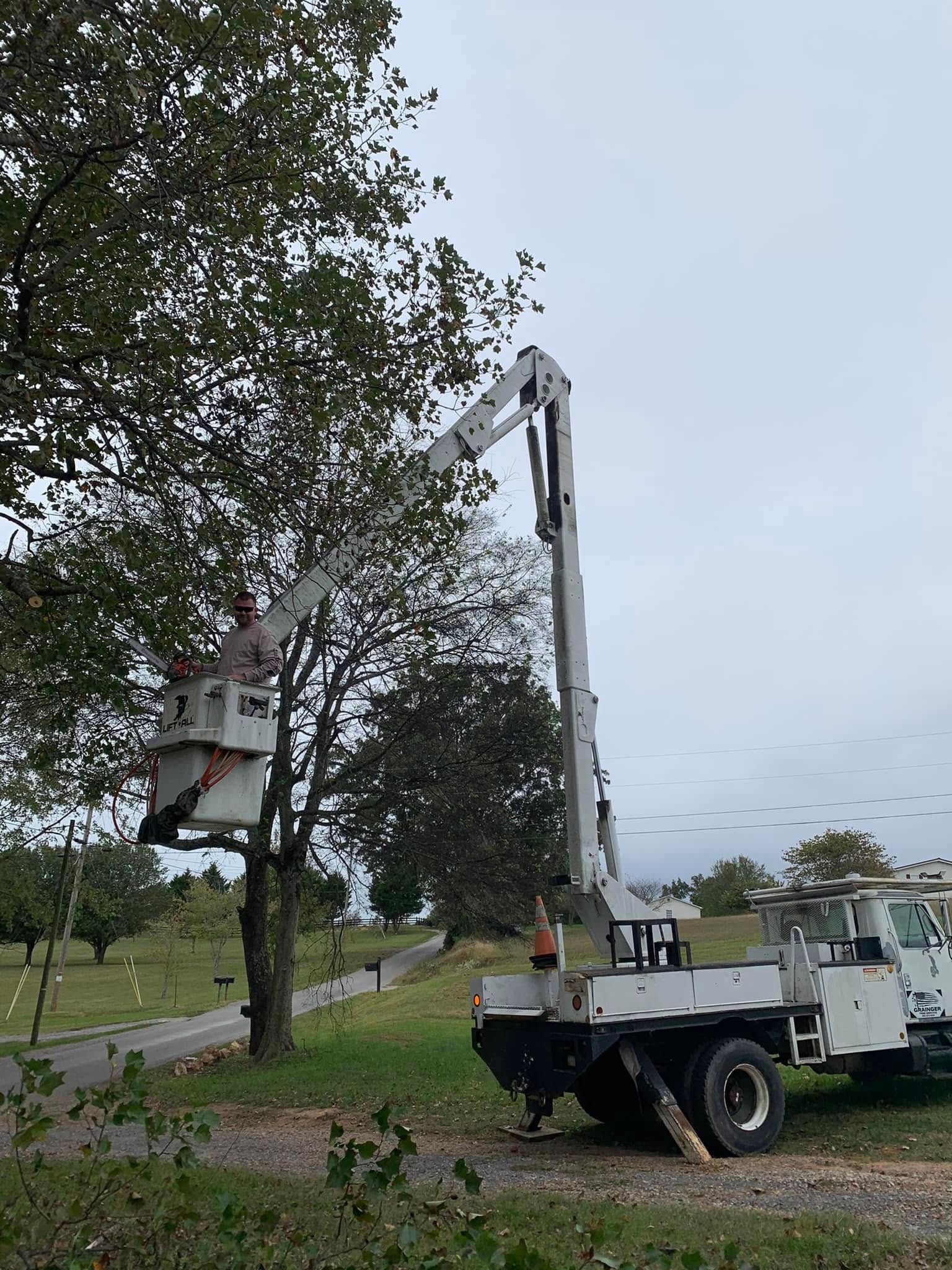  for Grainger Tree Service in Blaine, TN