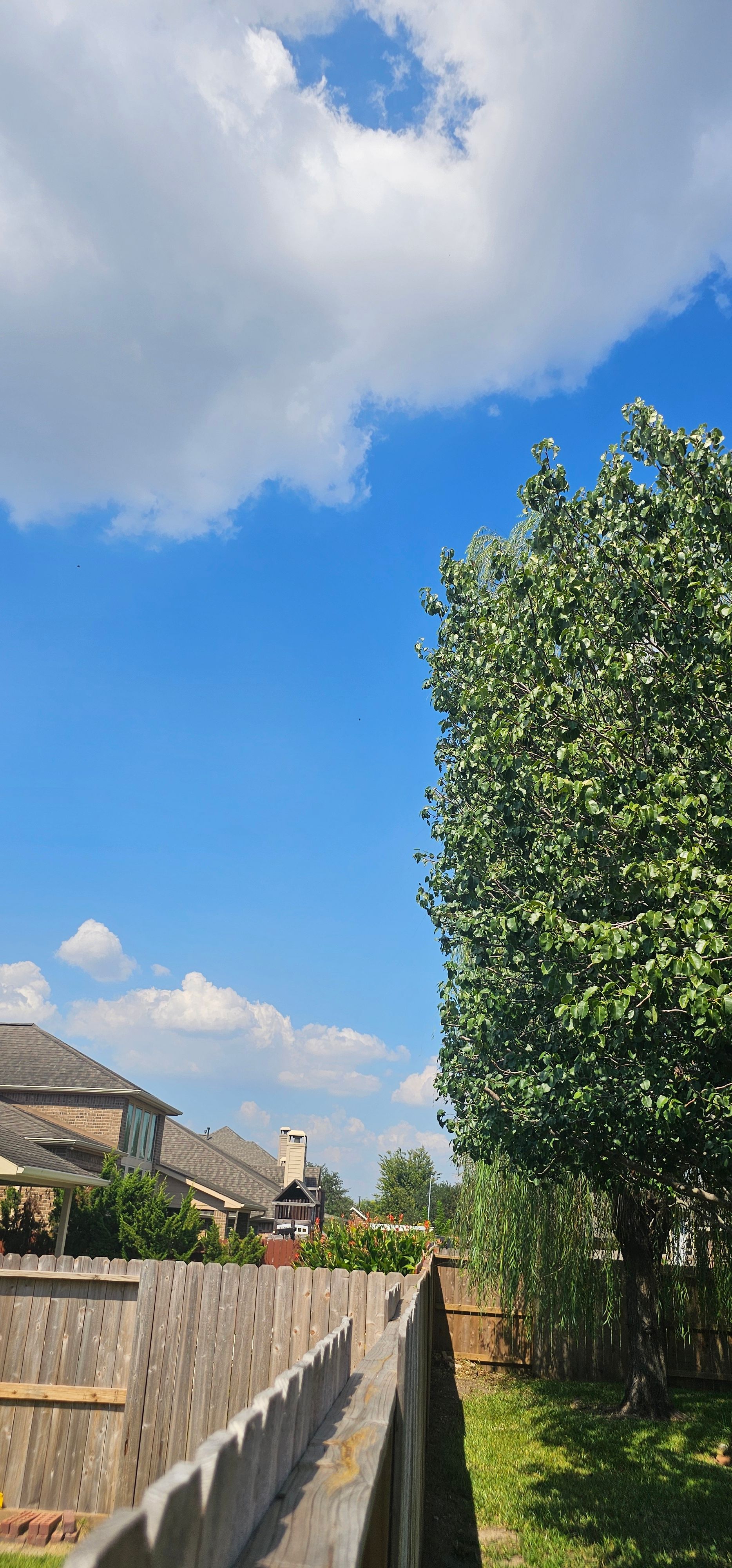  for Servin's Tree Care  in Houston, TX