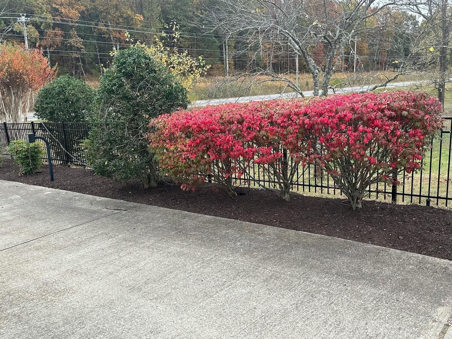  for The Right Price Right Choice Lawn Care Services in Murfreesboro, TN