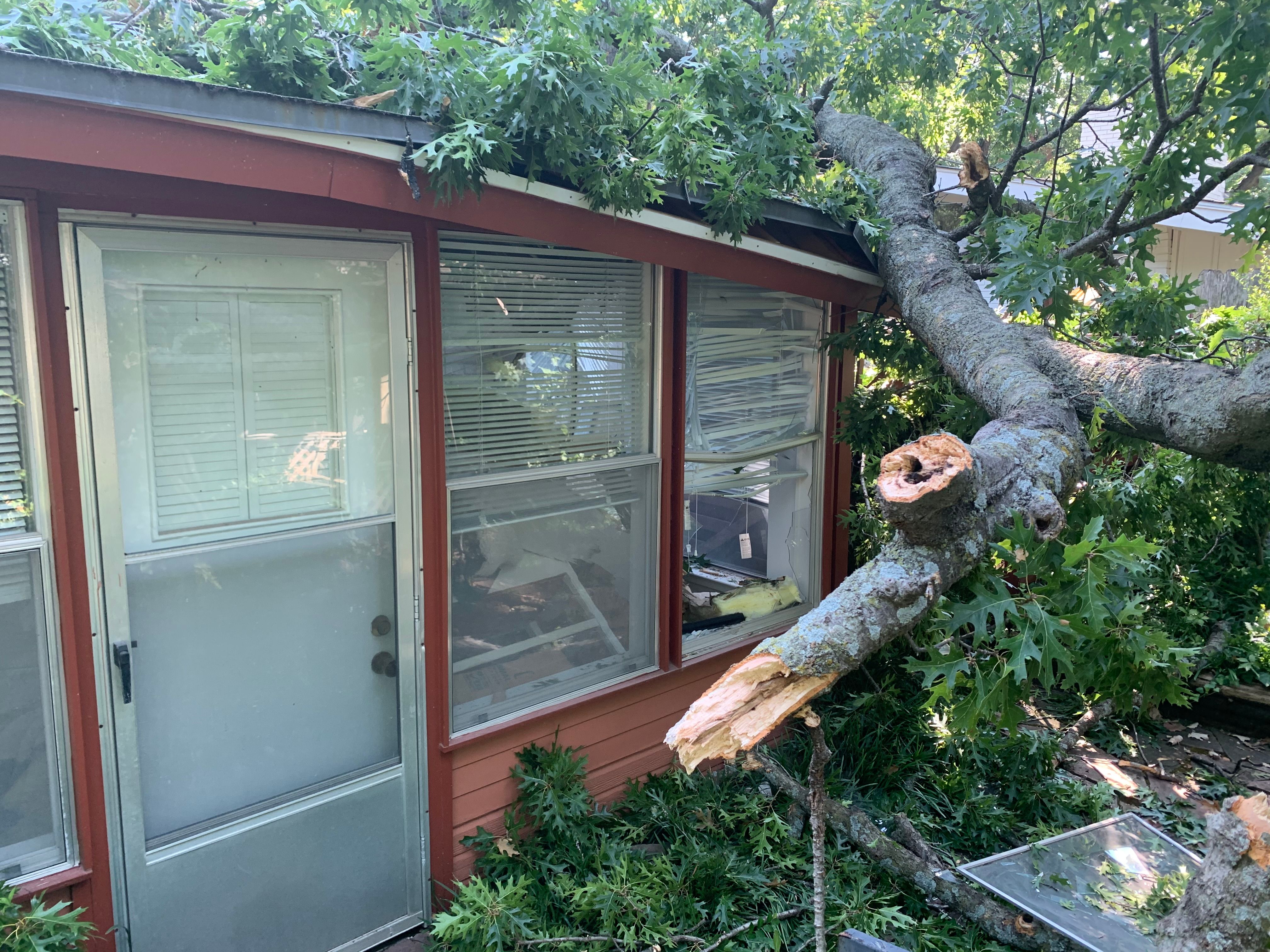 for TLC Professional Tree Service in Bedford, TX