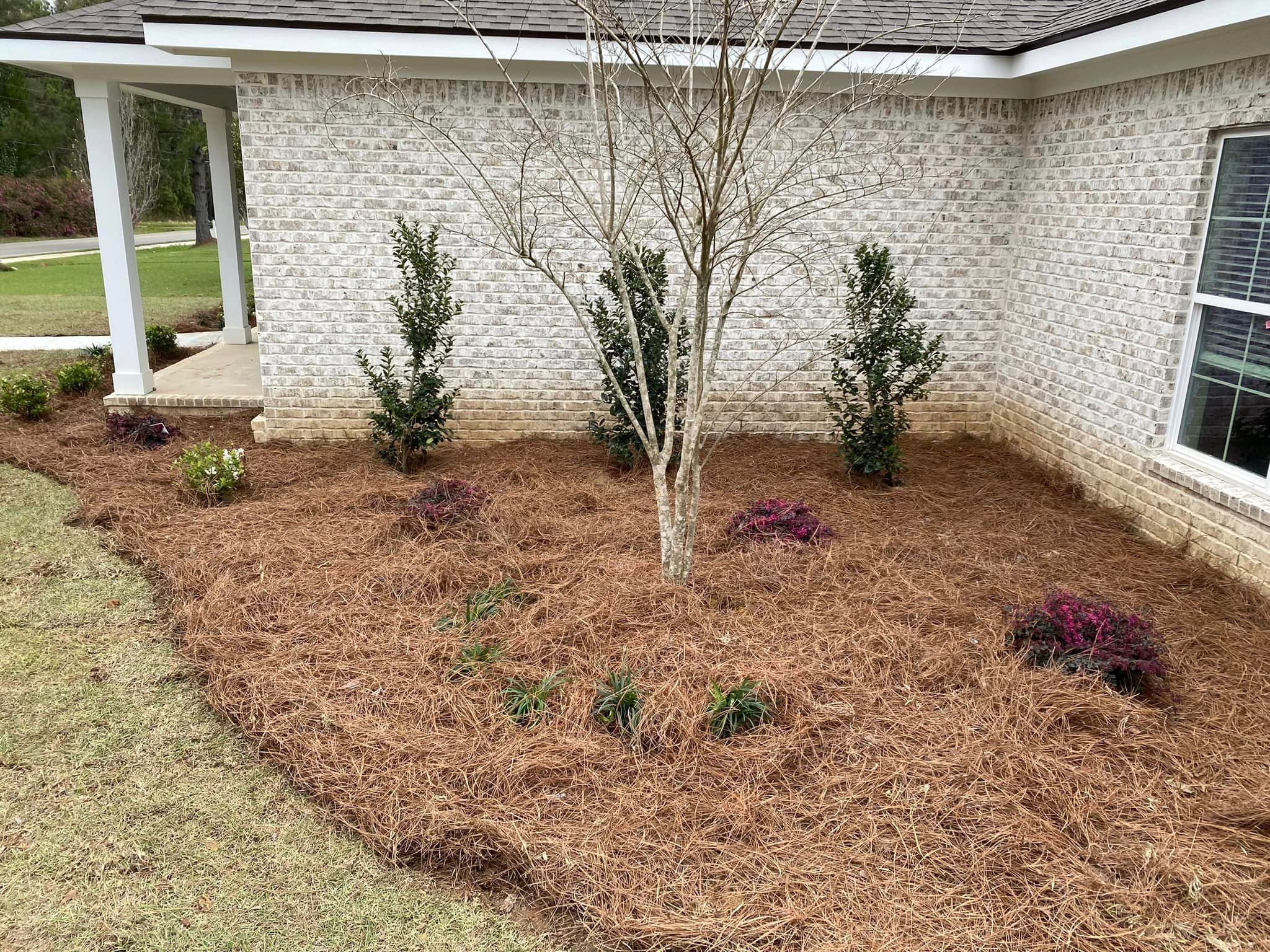  for Grasshopper's Lawn and Landscape in Fairhope, AL