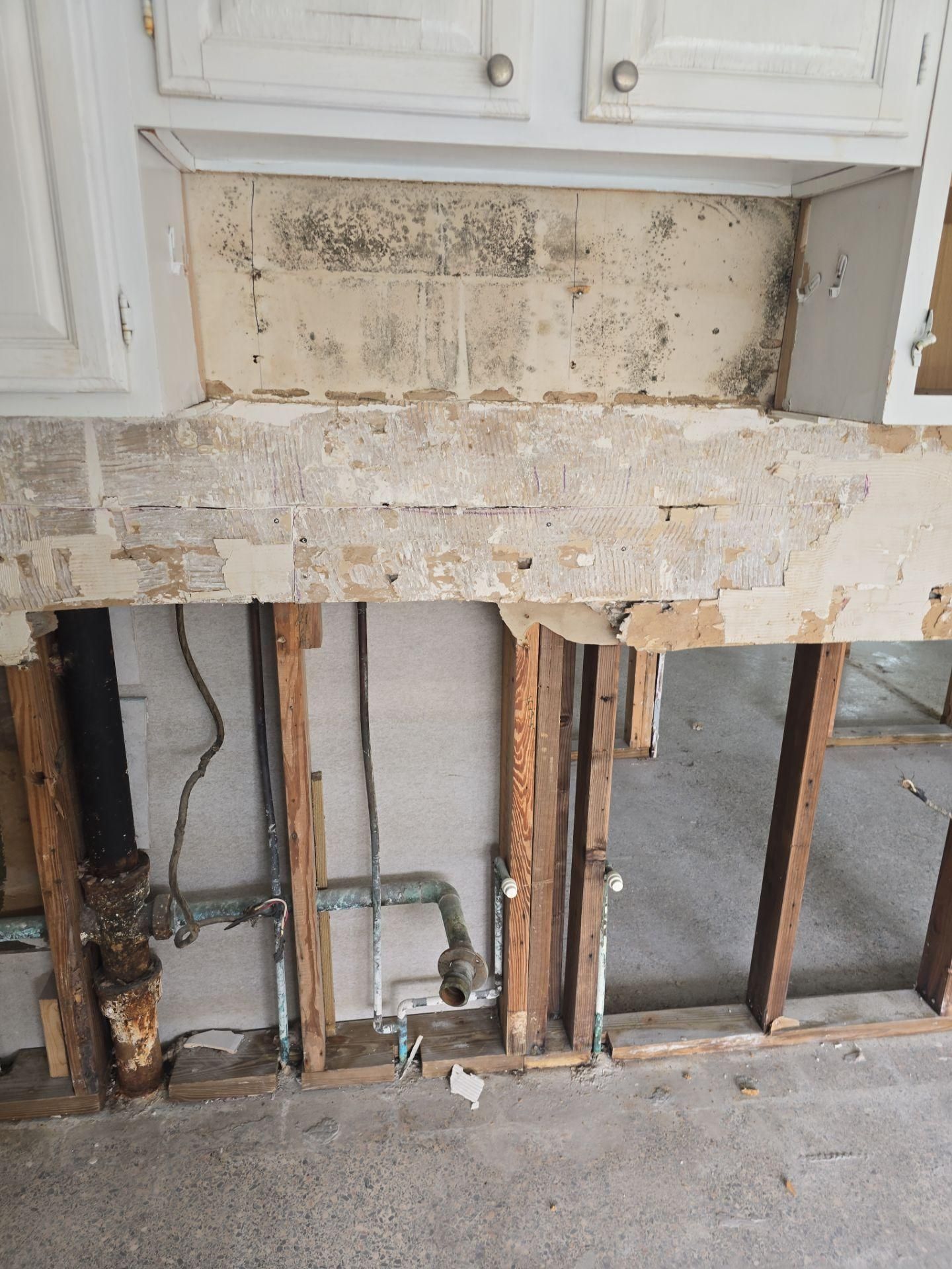  for Zorcon Contracting LLC in Tampa, FL