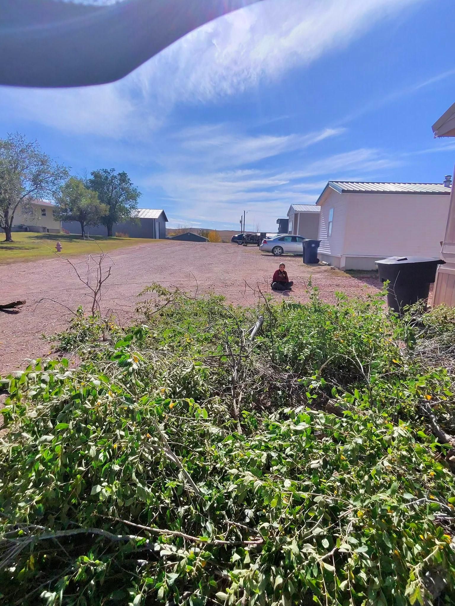  for Elevated Tree Care in Gillette, WY