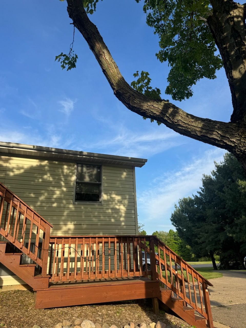  for Branching Out Tree Service in Hastings, MI