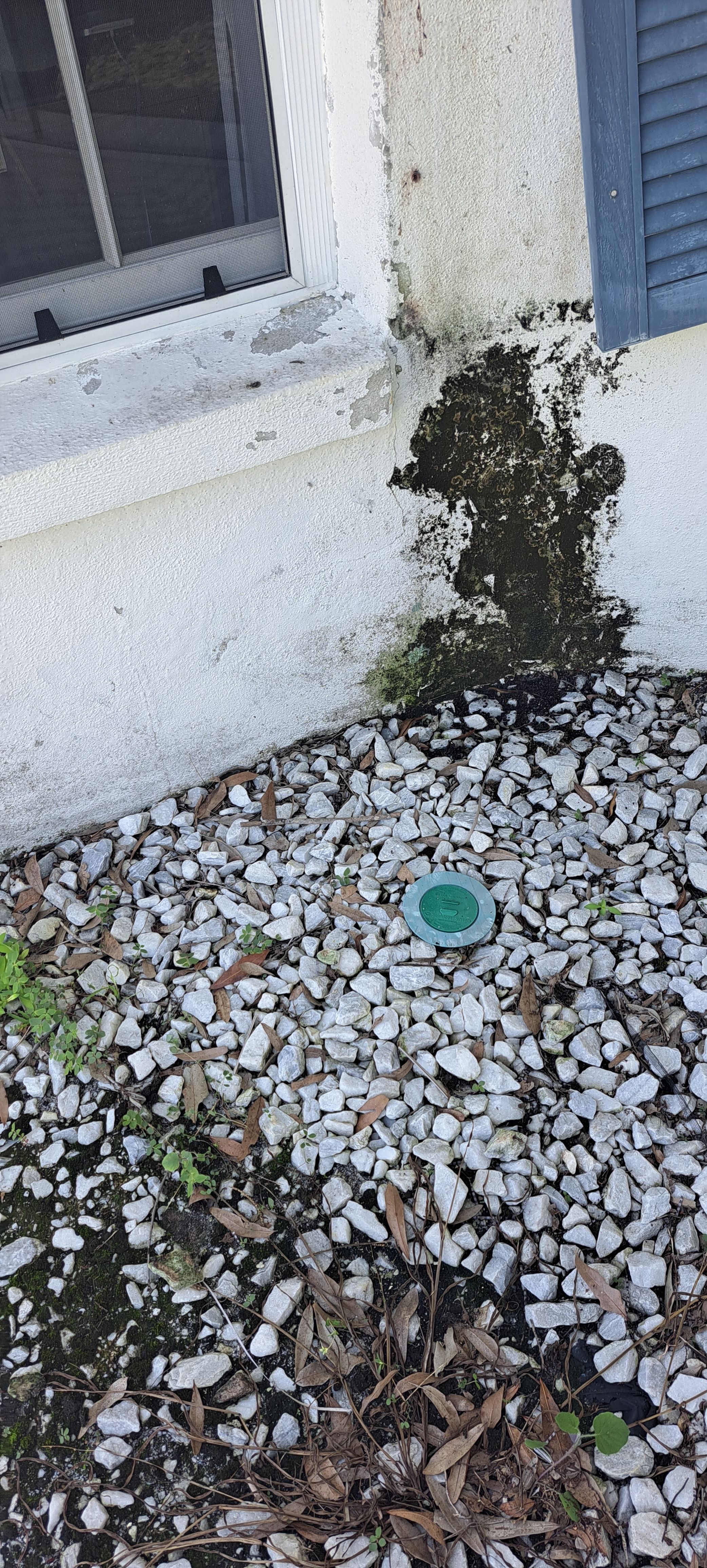  for Perfection Custom Painting LLC in Port Charlotte, FL