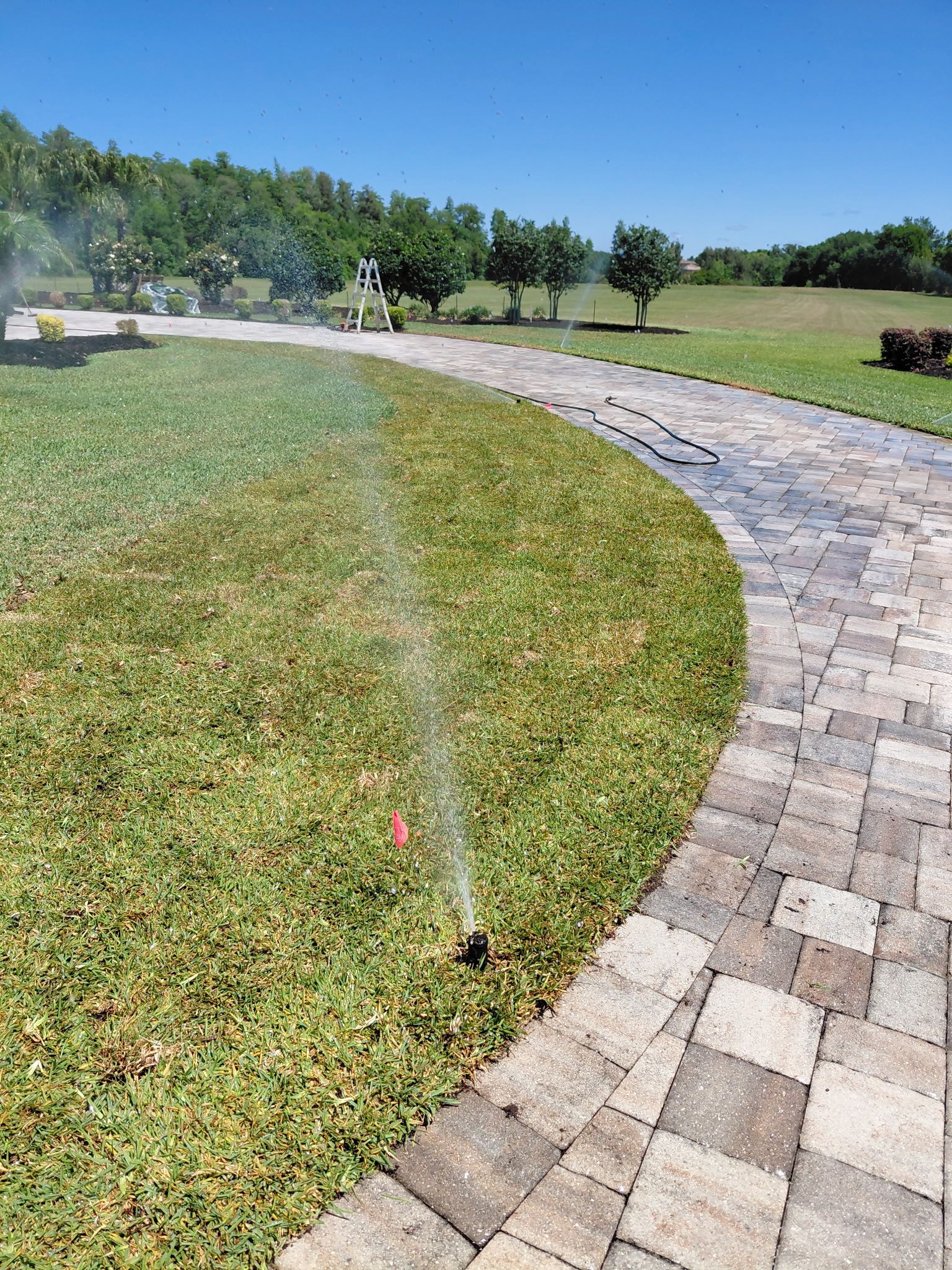  for Gulf Bay Sod in Clearwater, FL