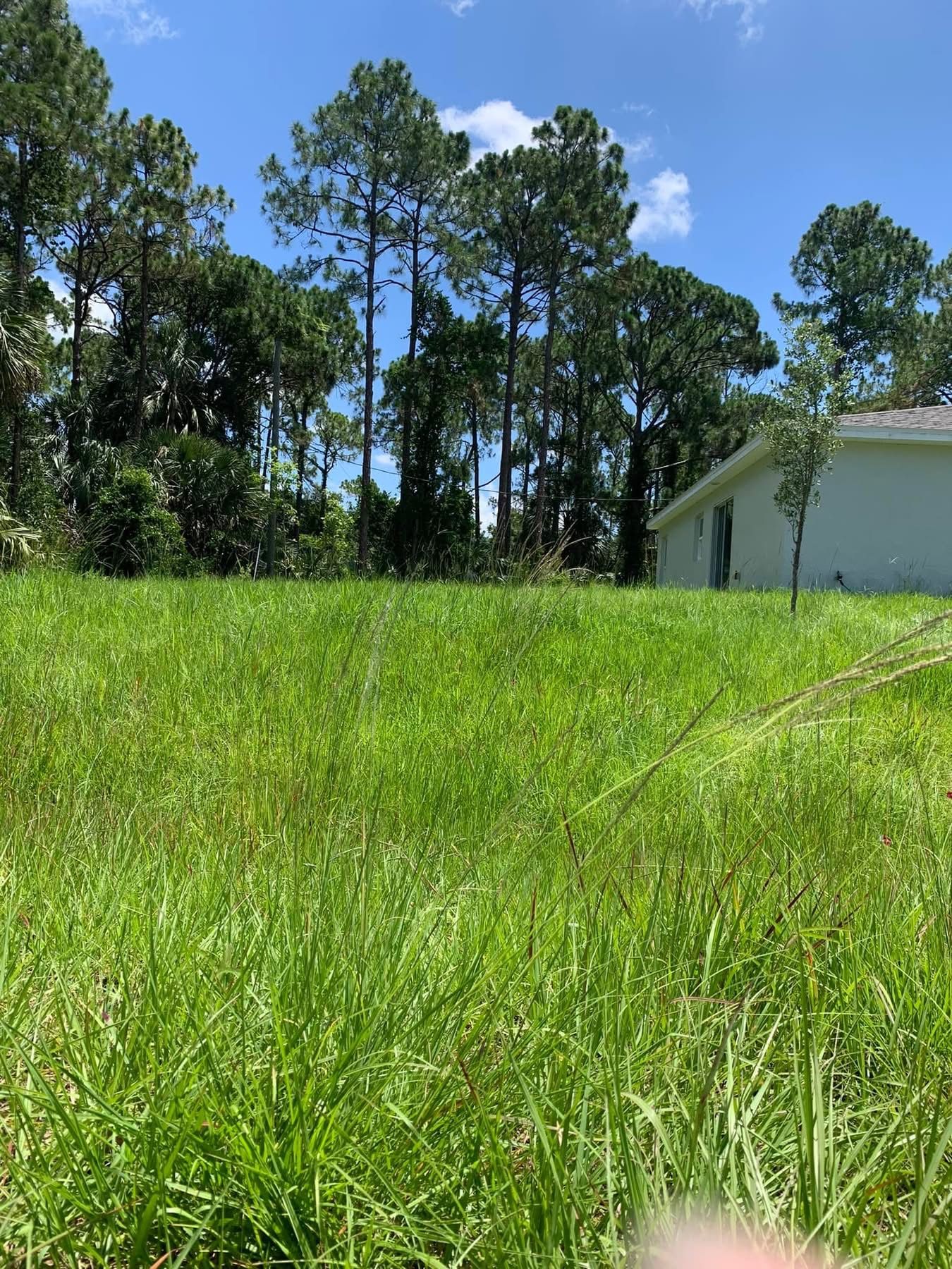  for Space Coast Property Maintenance and Management LLC in Melbourne, FL