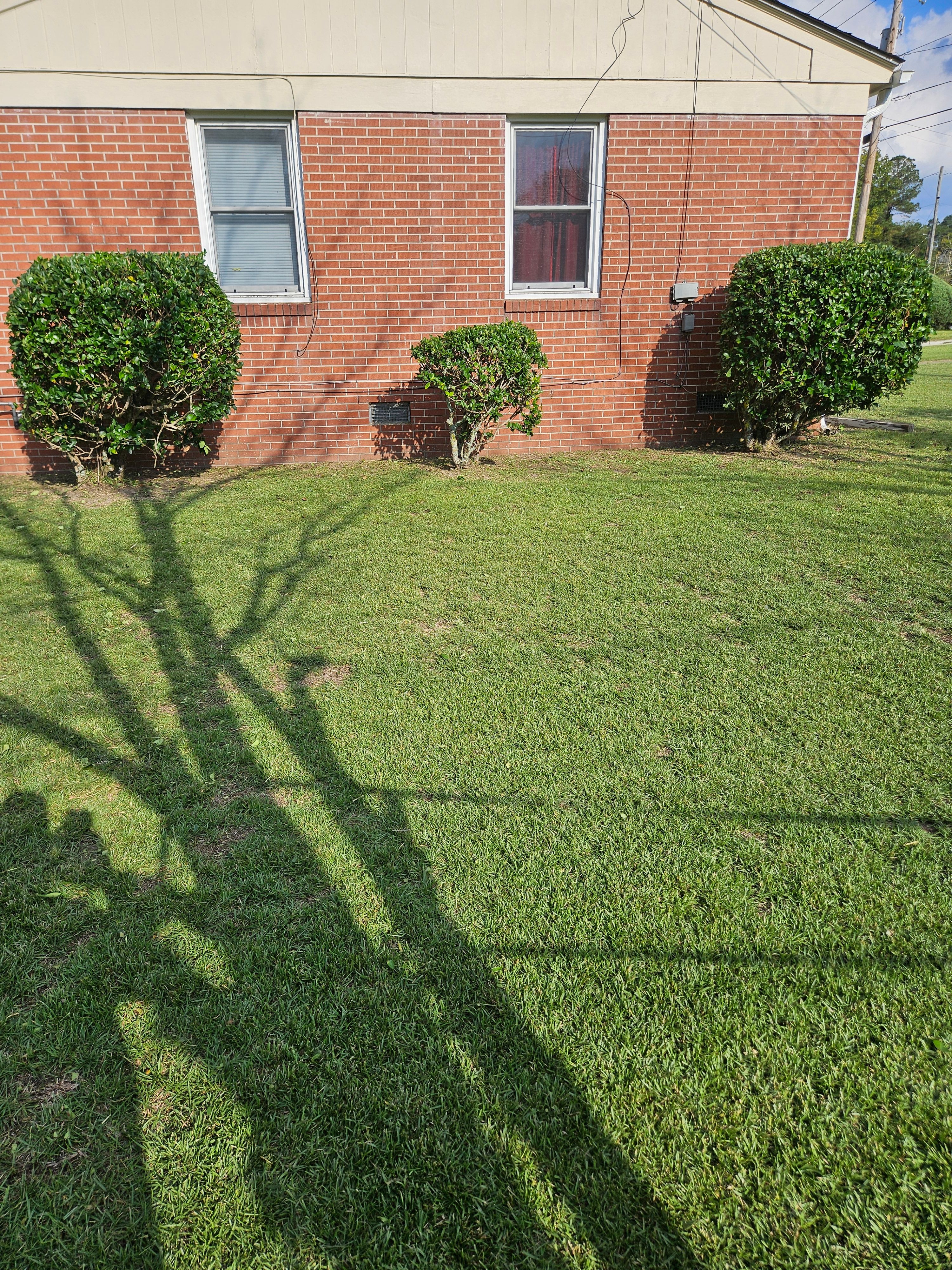  for Just Mow and Go Lawn Service in New Bern, NC