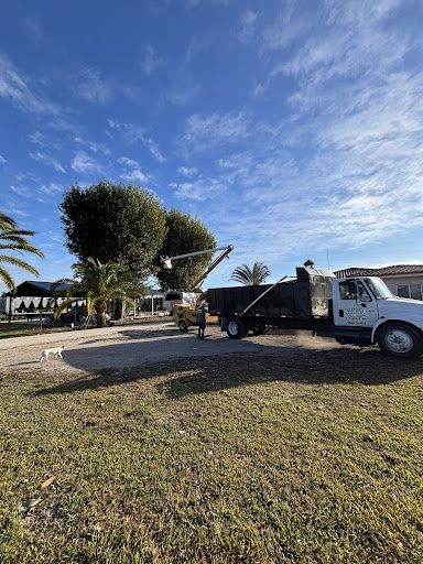  for Nurry Tree Services in Miami, FL