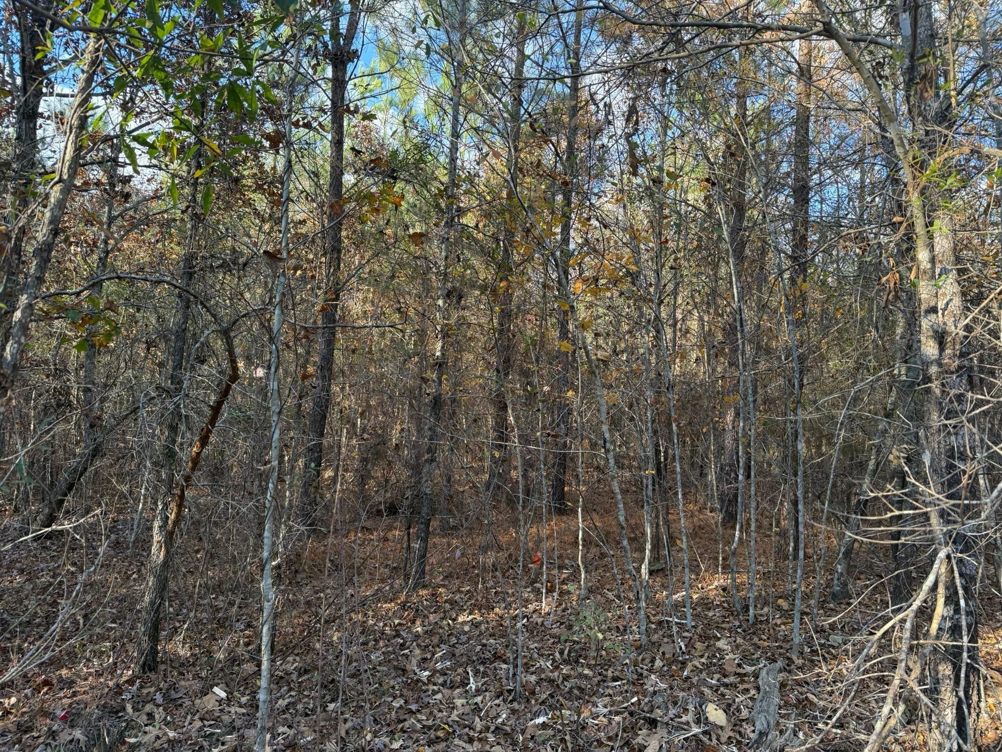  for Southern Land Improvements in Edgefield, SC