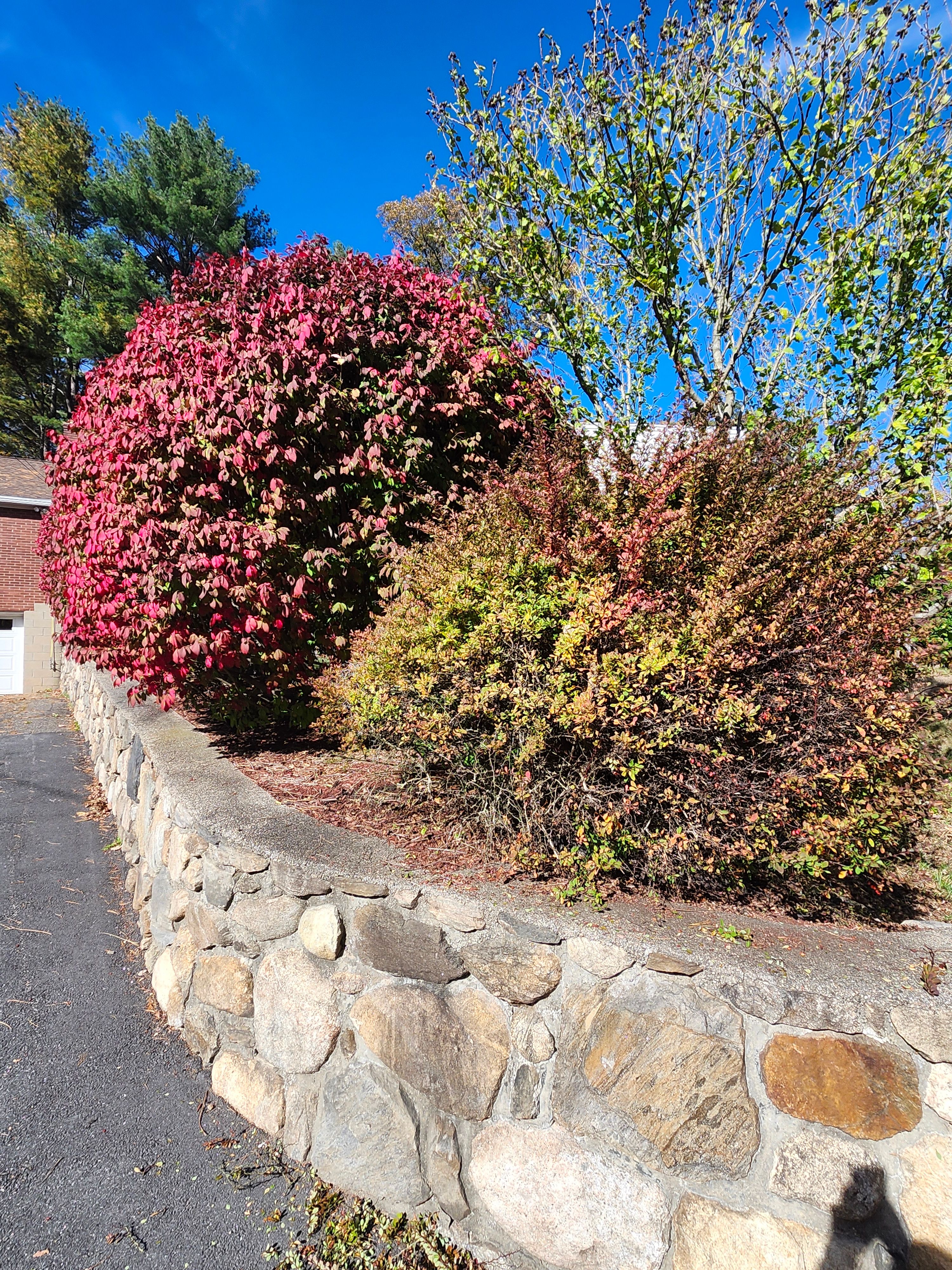  for Landscape Innovations LLC in Torrington, CT