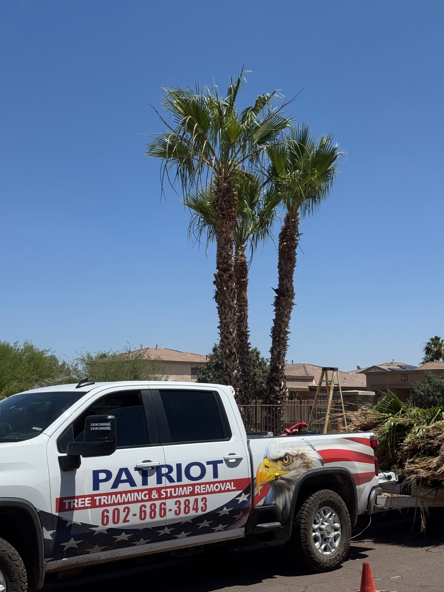  for Patriot Tree Service in Mesa, AZ