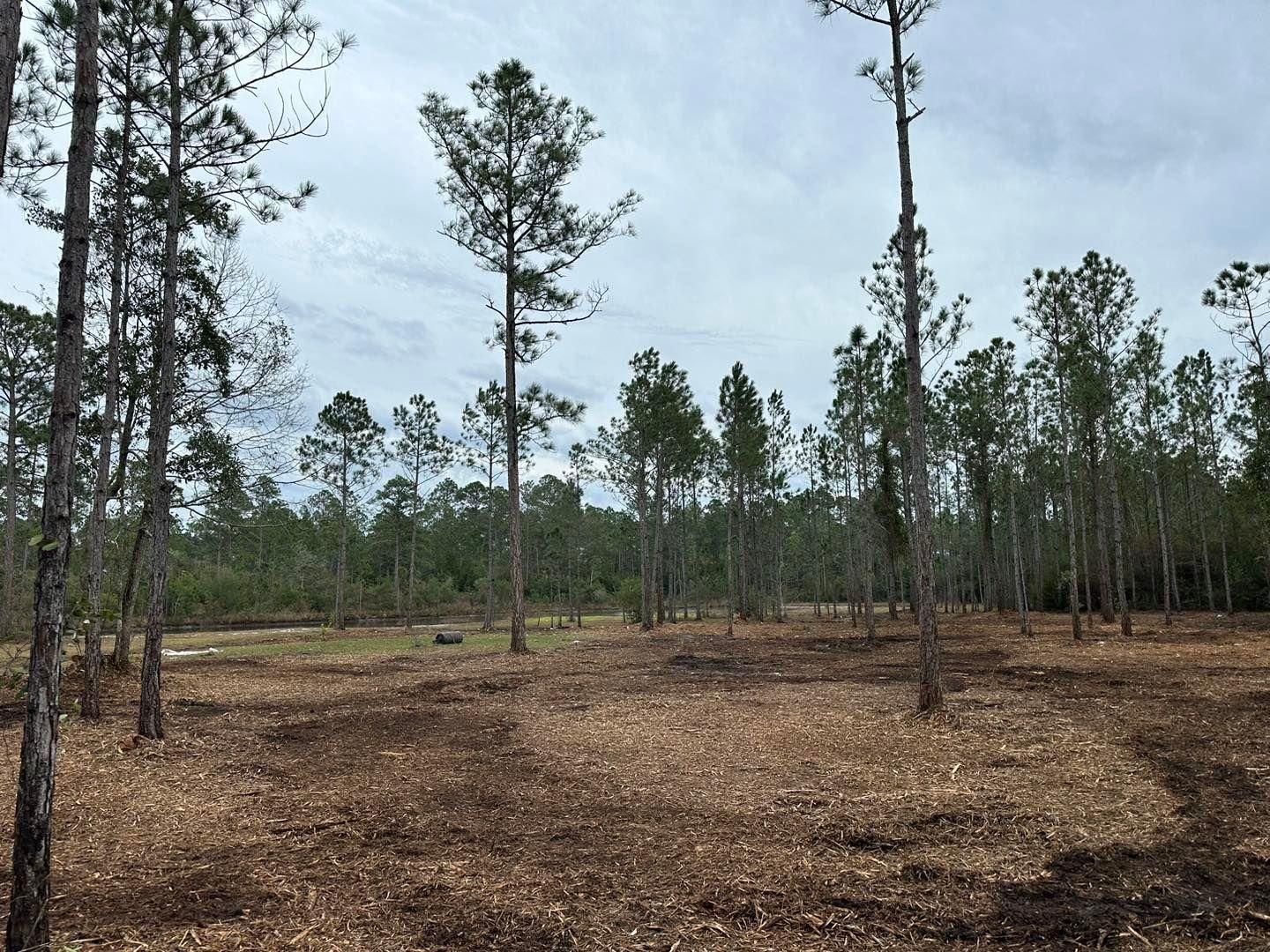  for White’s Land Maintenance in Milton,, FL