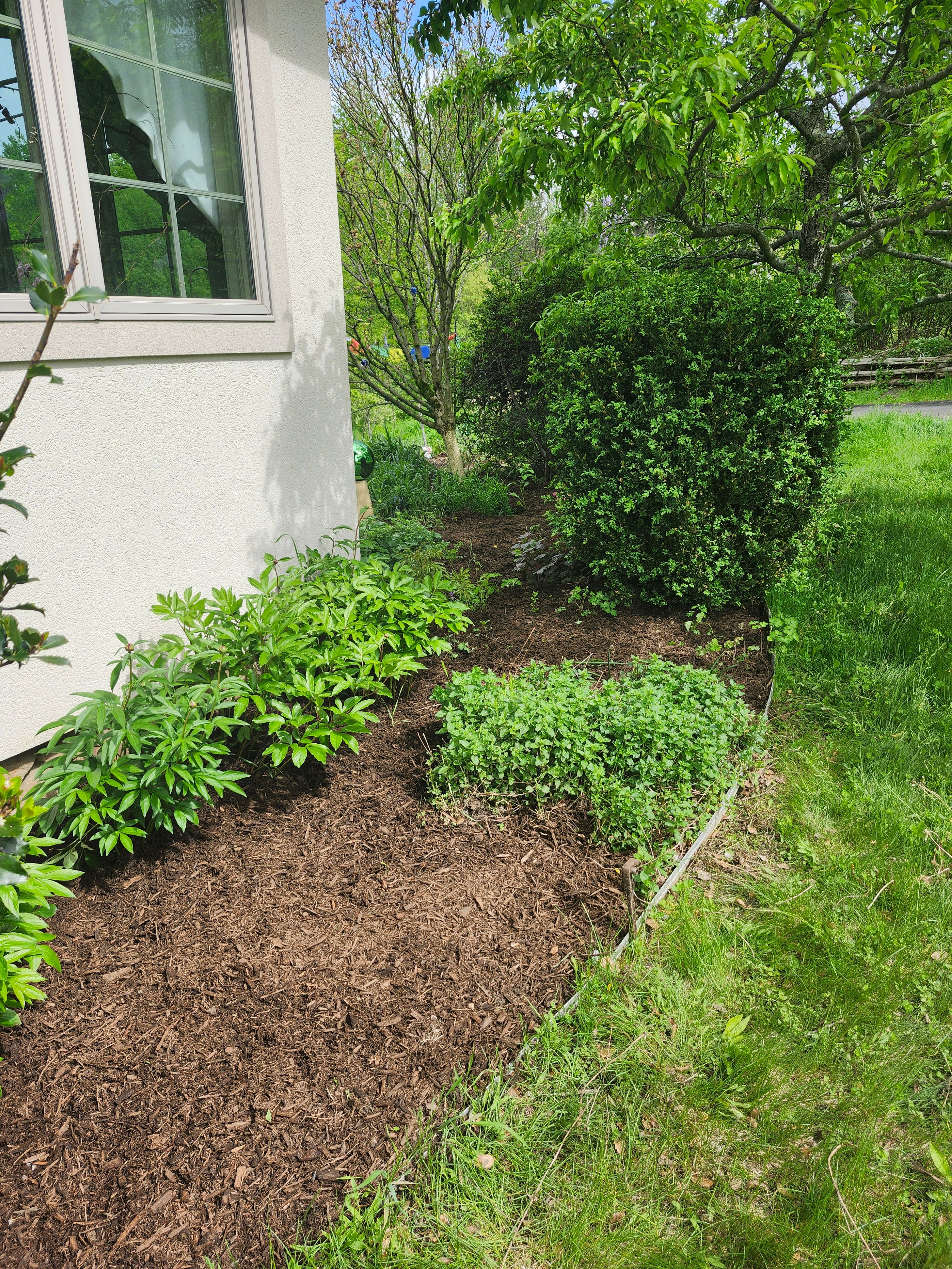 Muclhing & Weeding for Landscape Innovations LLC in Torrington, CT