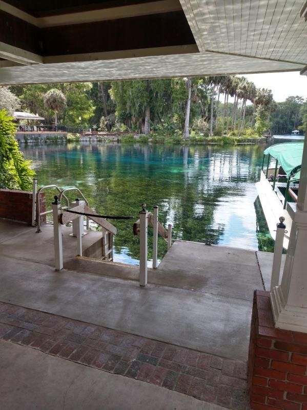  for Down & Dirty Pool Service in Crawfordville, FL