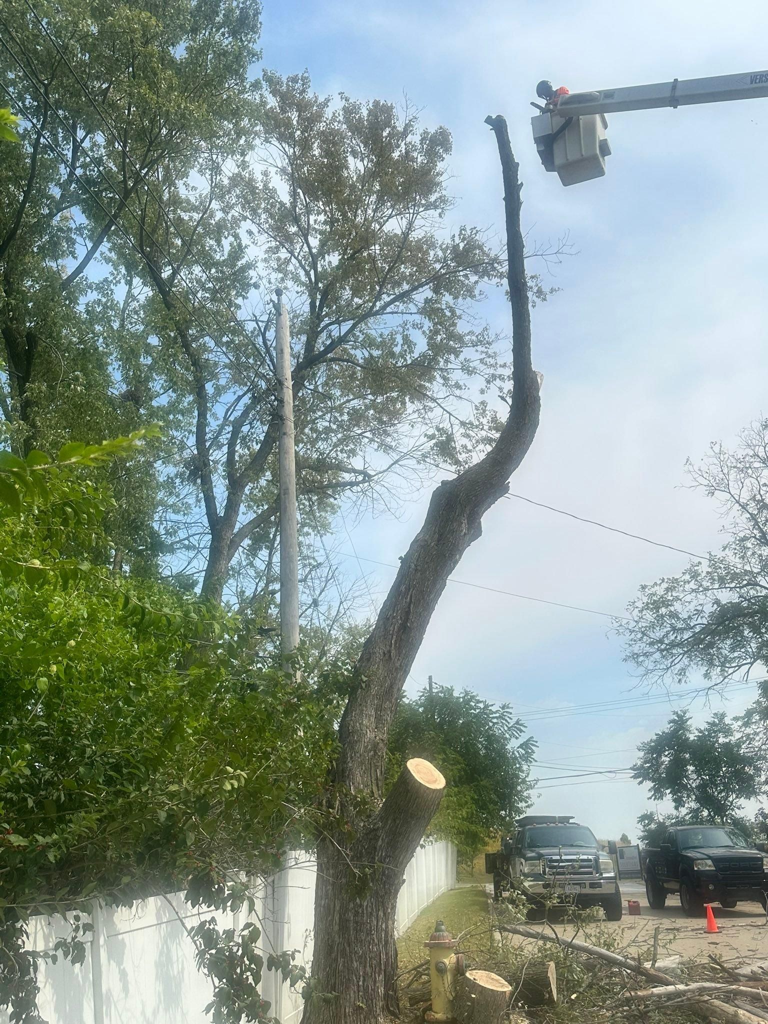 All Photos for Cross Family Tree Service in Kearney, MO