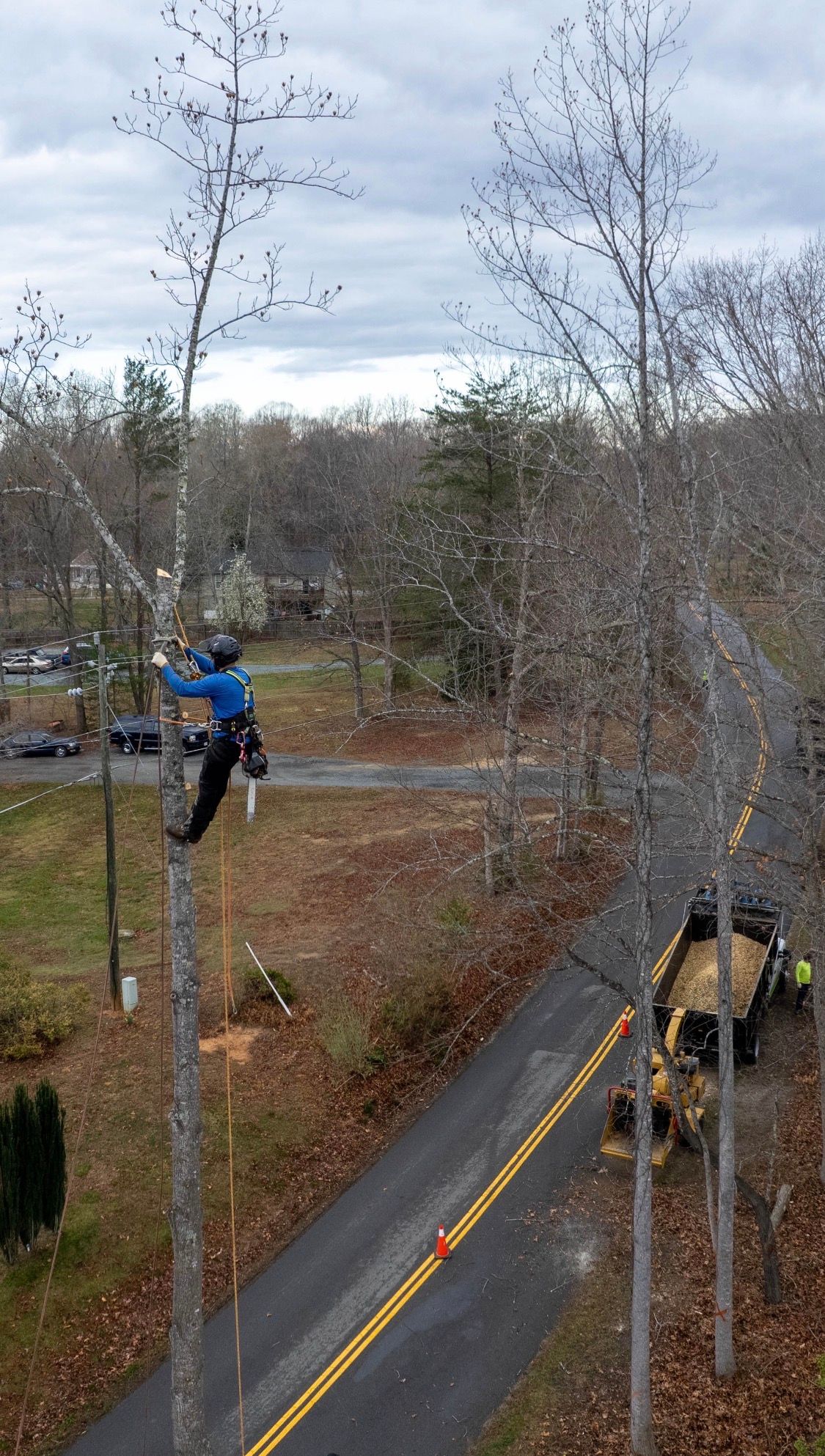  for Branch Out Tree Care LLC in Fredericksburg, VA