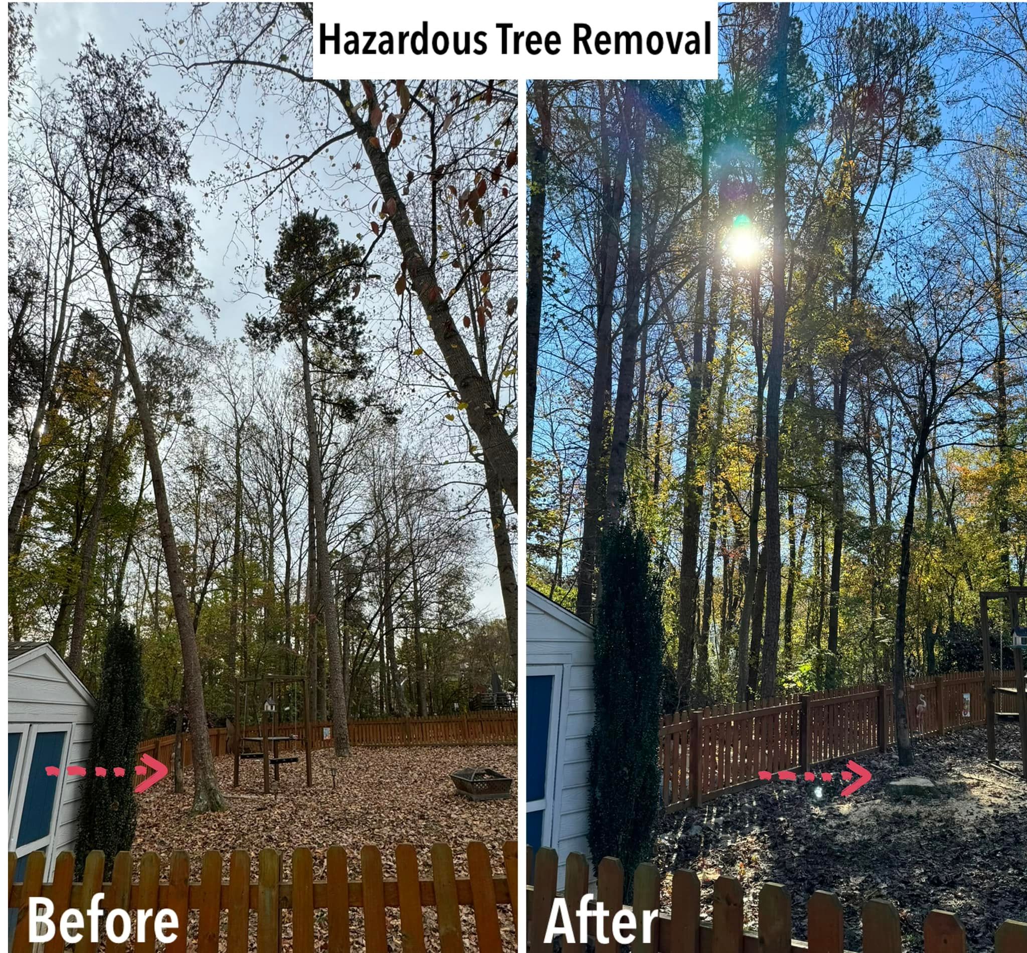 All Photos for Meade tree service in Greensboro, NC