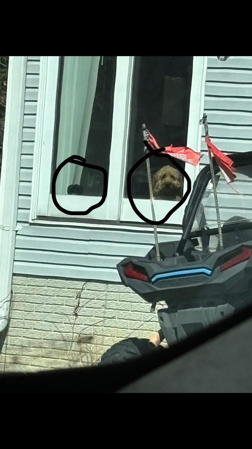 All Photos for Busy B's Professional Cleaning in Birch Run, MI