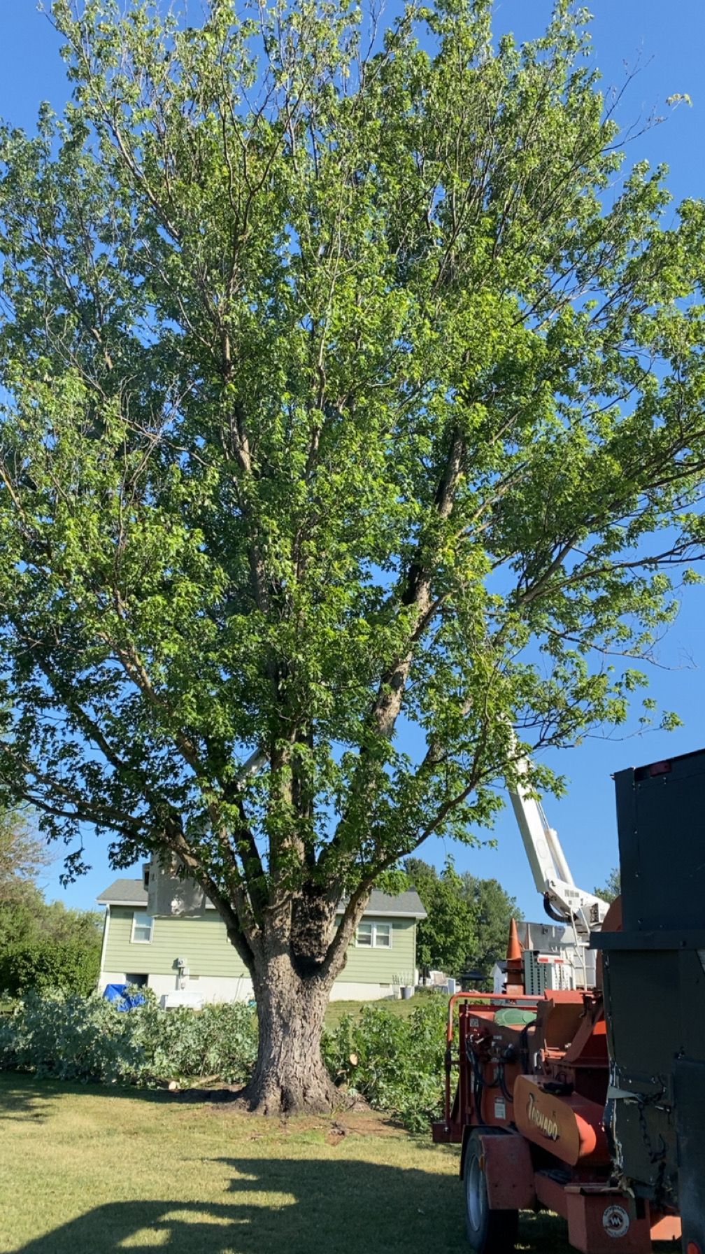 All Photos for Gray's Tree Service  in Shenandoah County, VA